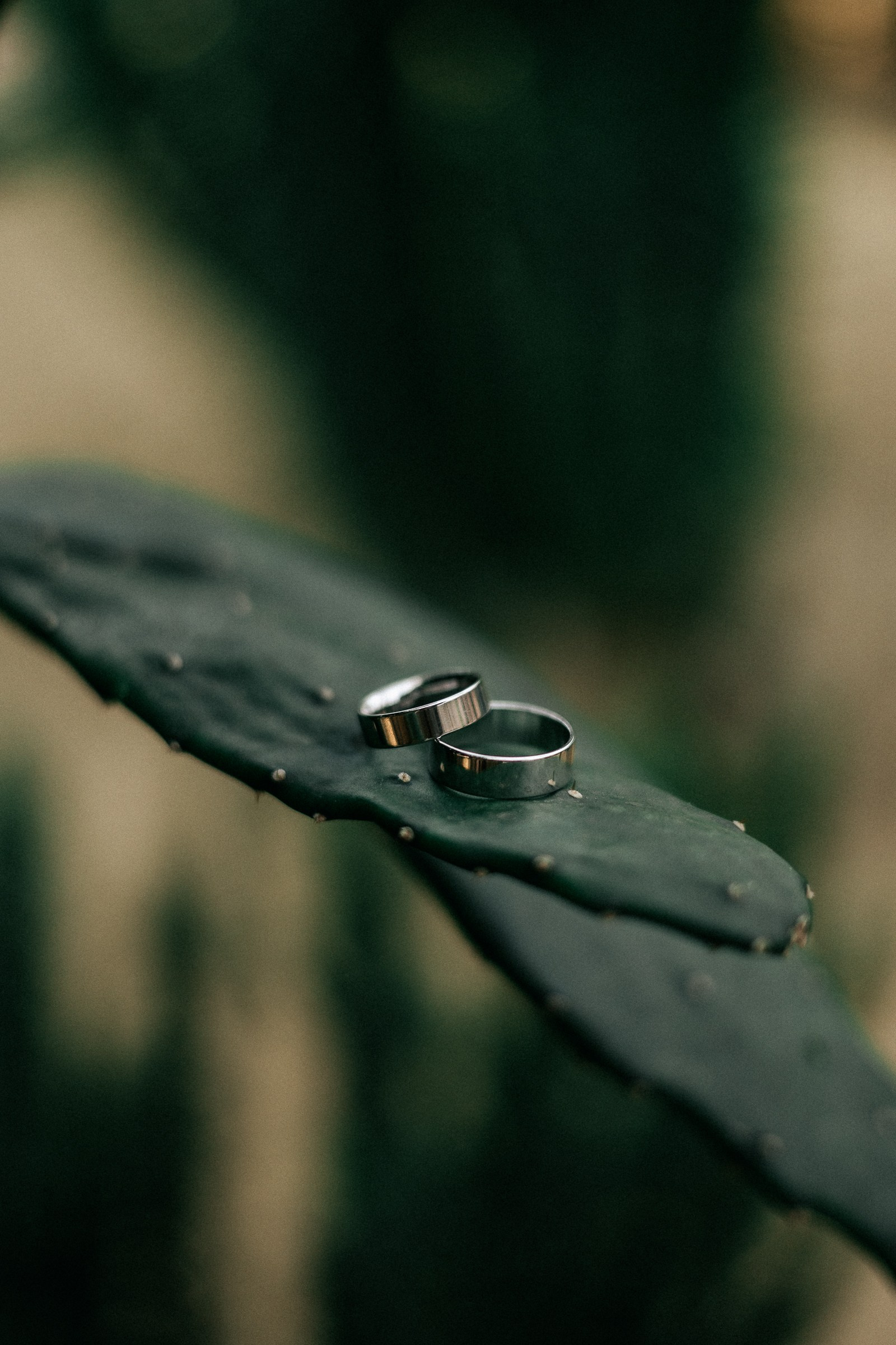 ПРАЙС. Свадебный и семейный фотограф в Красноярске Анастасия Турчанова