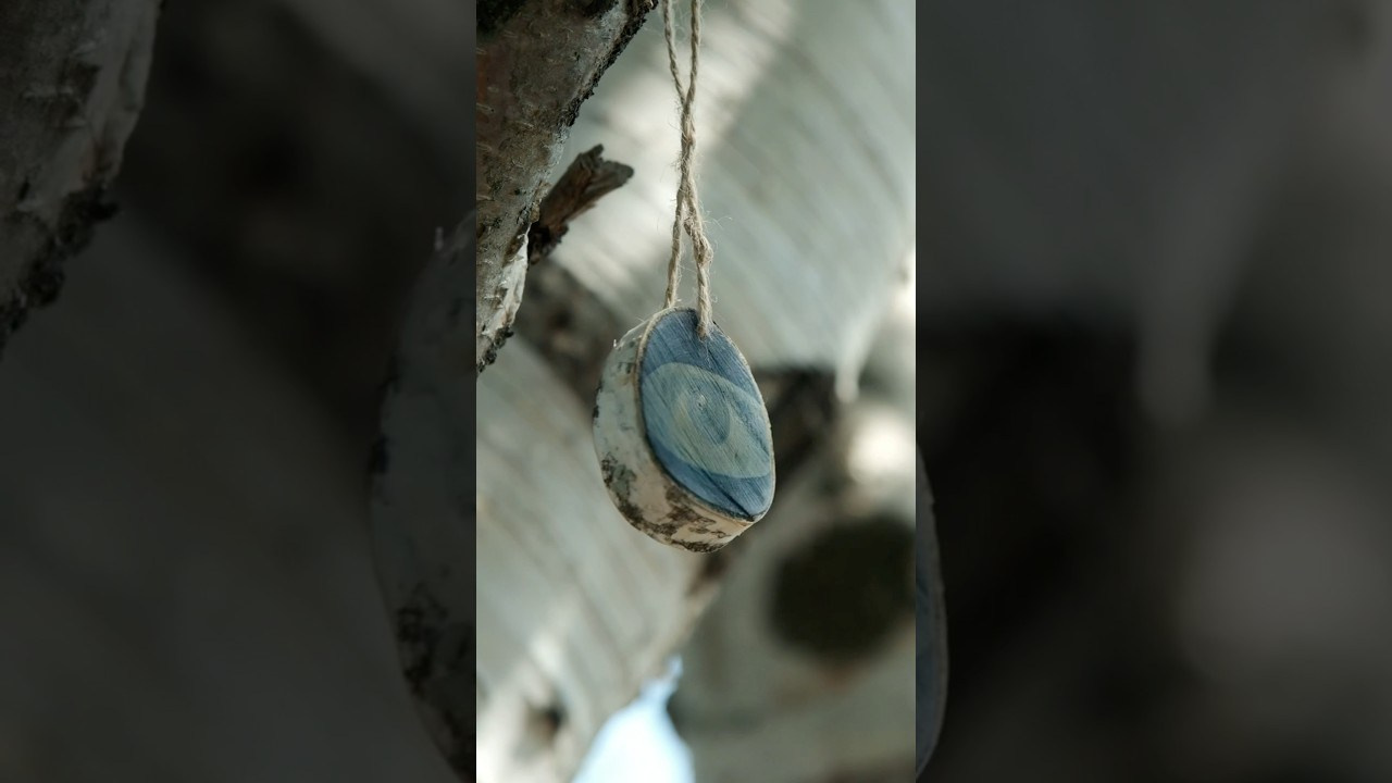 Alternative processe. Maria Norden