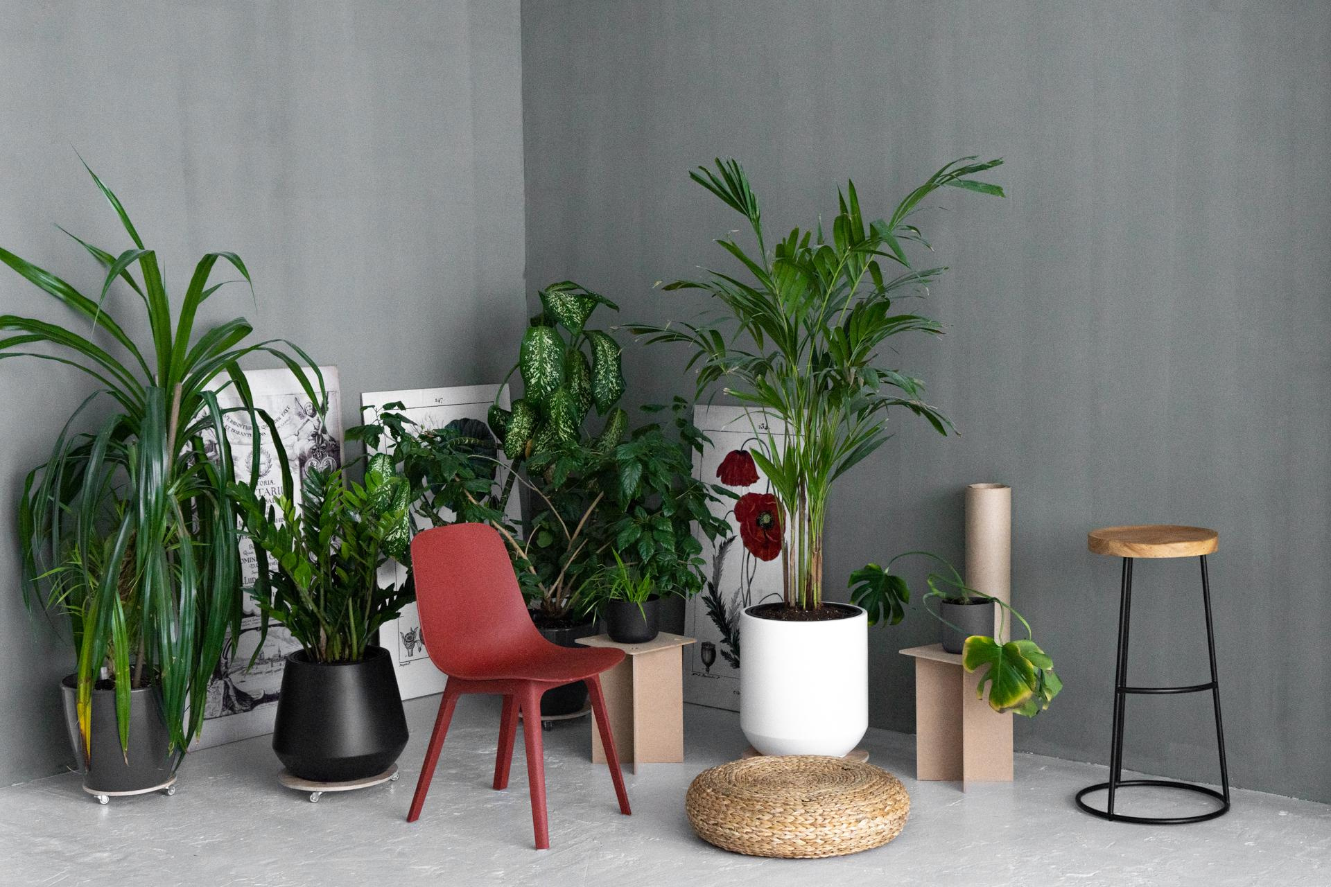 № 9 Teo от 1000 руб, 70 м². 5loft Фотостудия в Ижевске