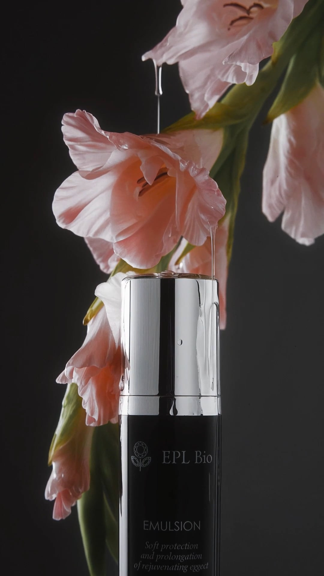 BEAUTY. CHRISTINA GRIG // photographer, content creator