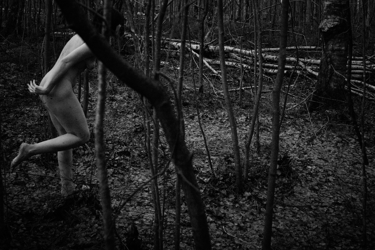 Wandering. ✨misha khazov • photography • performance