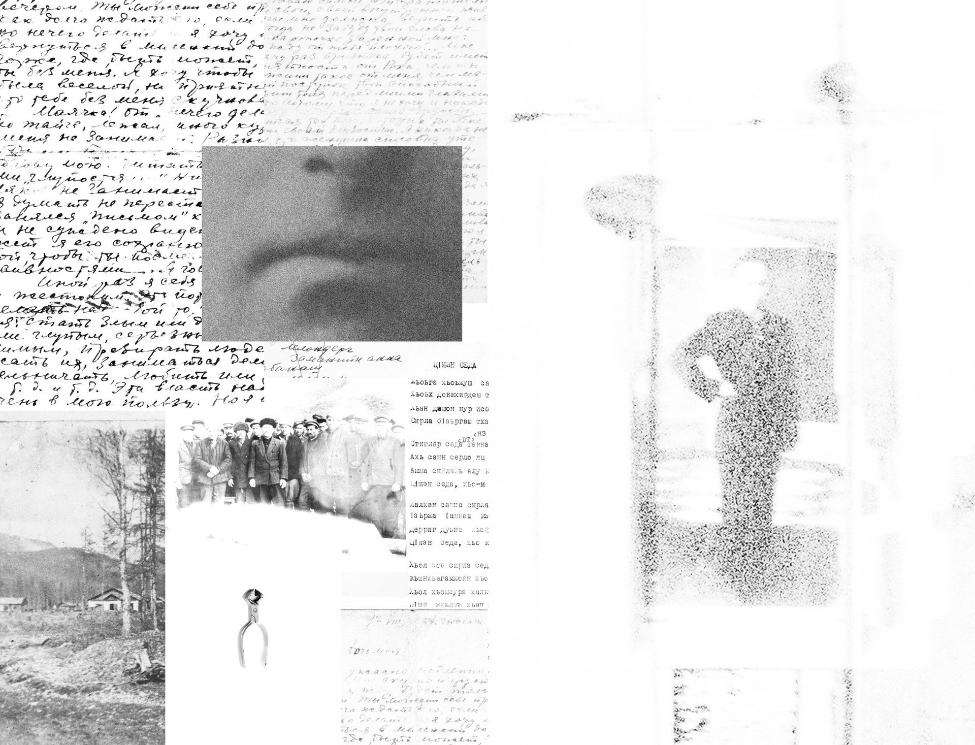 ОБЗОР АКТУАЛЬНЫХ ФОТОКНИГ: Цифровые тени слов. Самоорганизация Низина