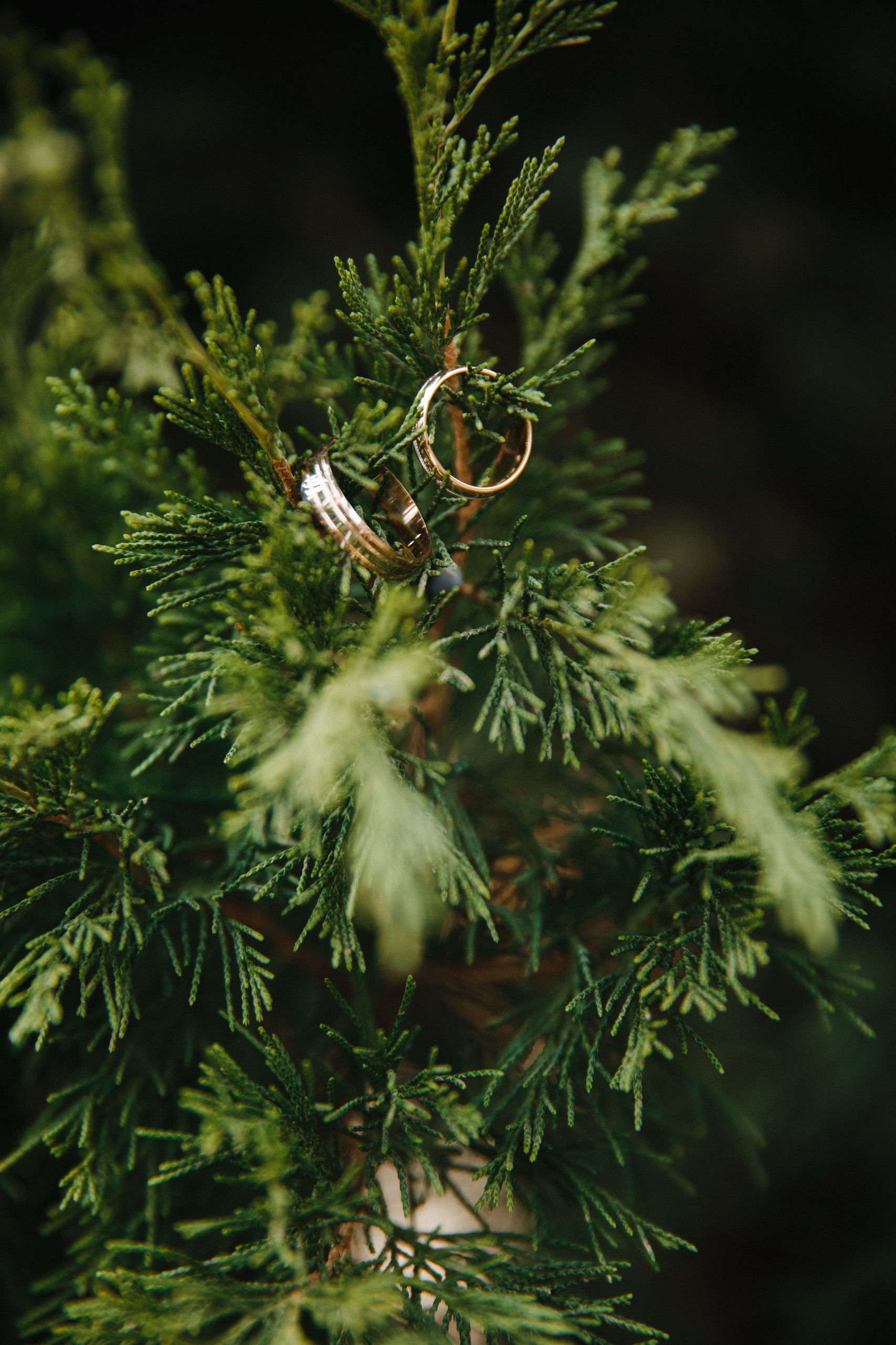 Отзывы. Свадебный и семейный фотограф в Ростове-на-Дону Кирилл Дементьев