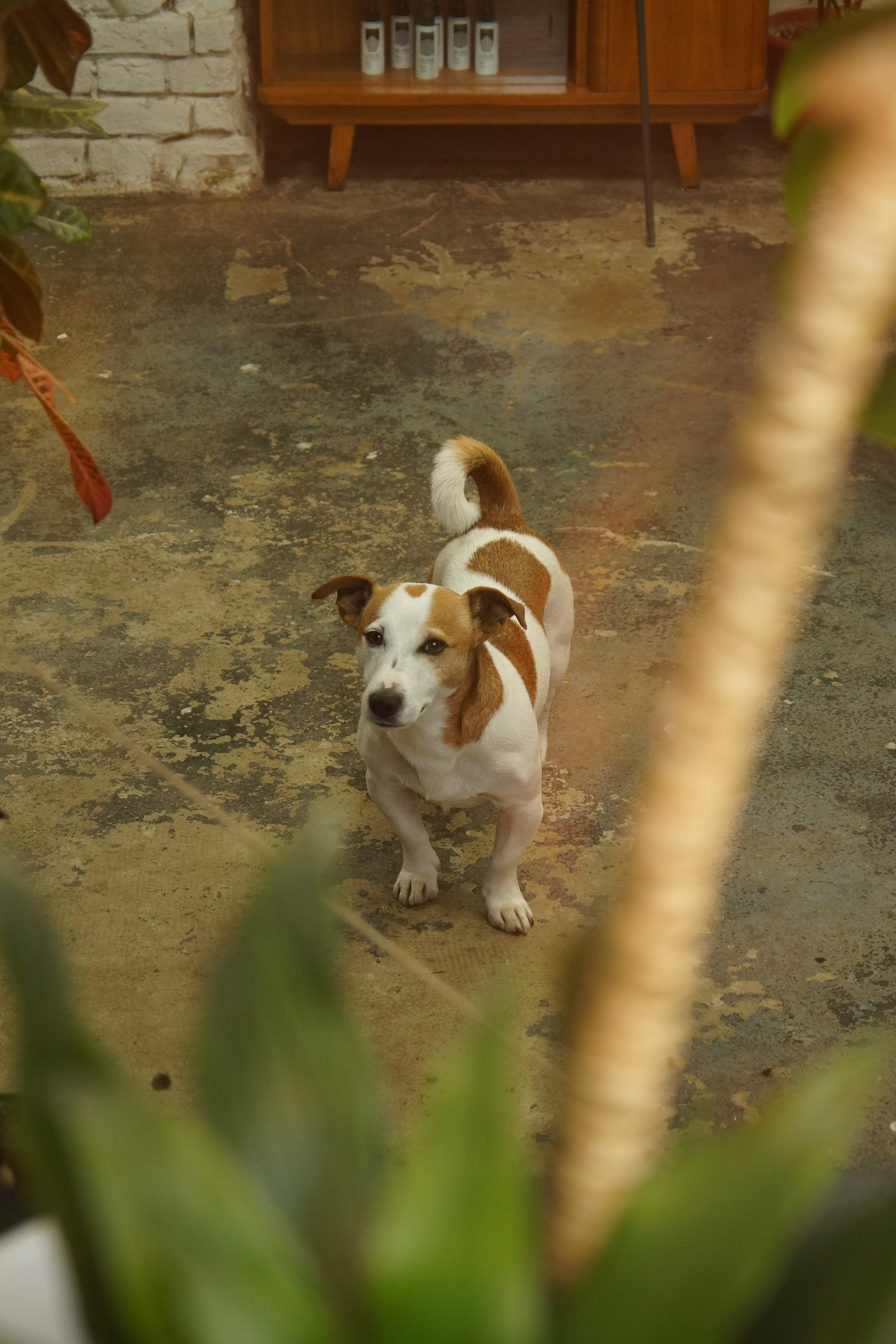 НАШ СТИЛЬ. КОЛЛЕКТИВНЫЙ ТРУД