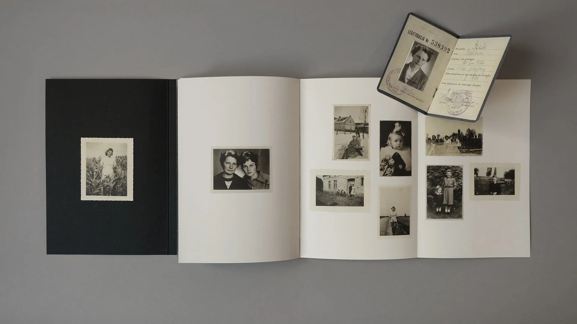 Как форма книги может влиять на концепт?. Самоорганизация Низина