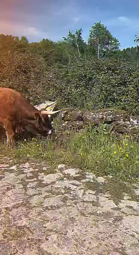 Моя история. Татьяна Стафорова