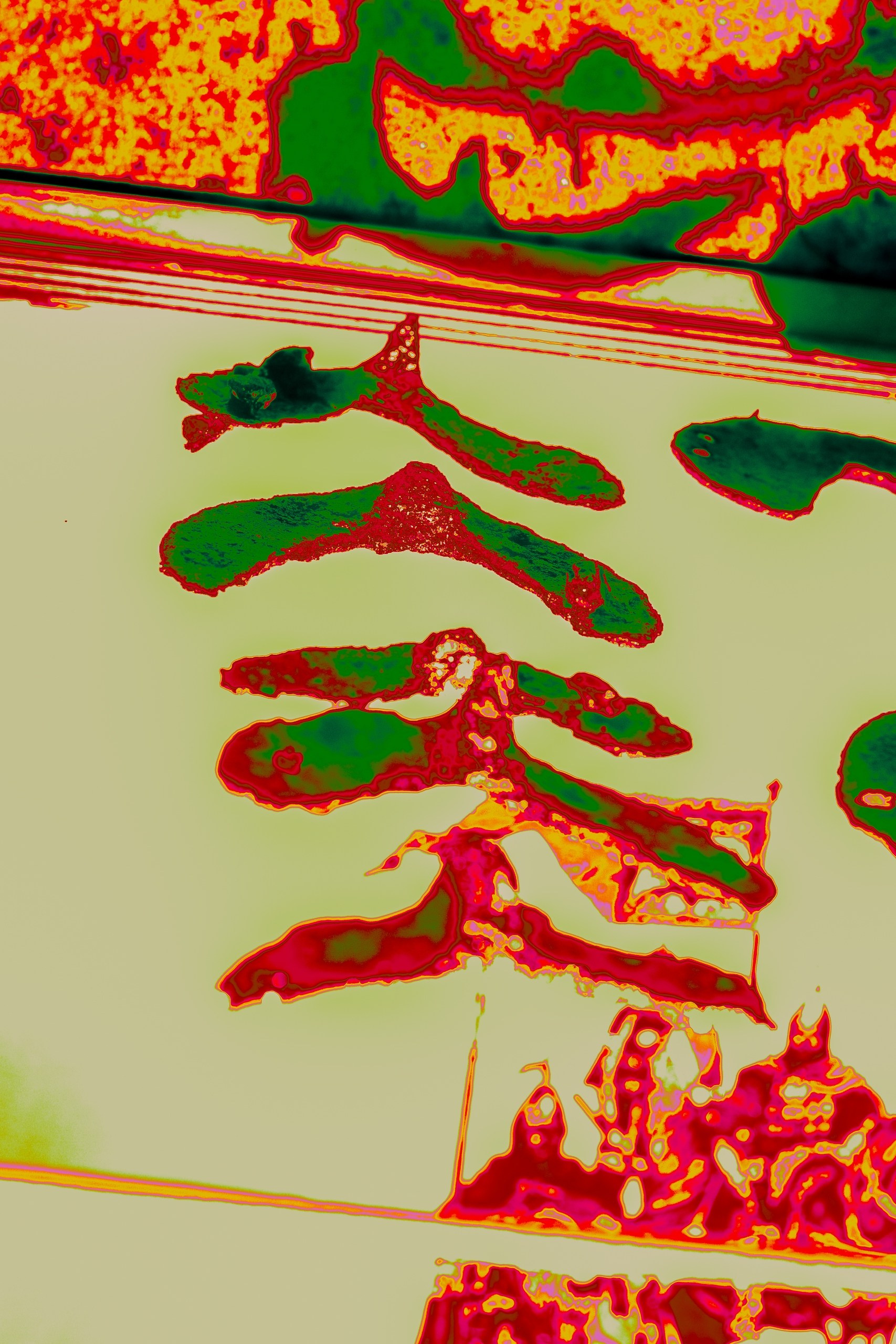 Курс «БОЛЬШОЙ И ГРОМКИЙ!». Университет по фотографии Игоря Мальцева