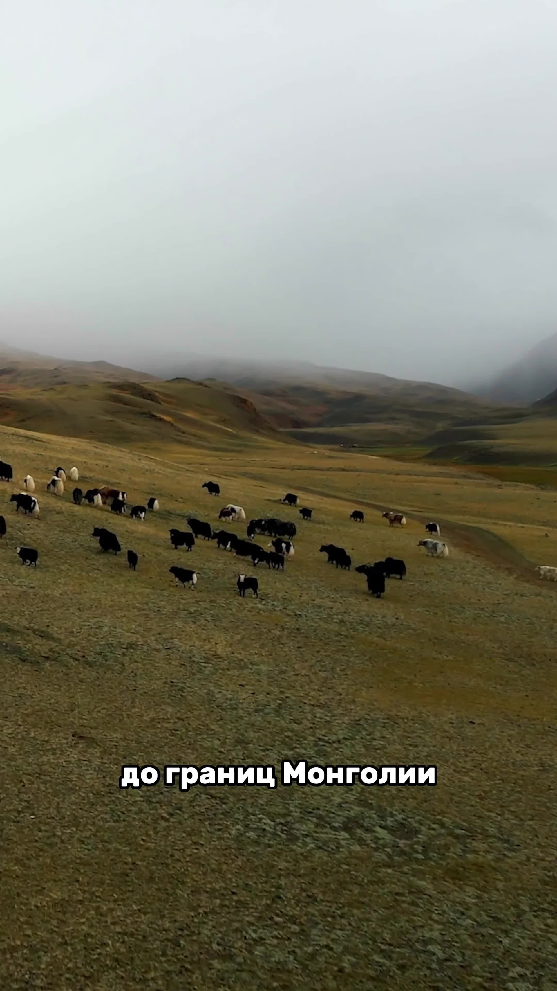 Съемка и монтаж рилс (reels) в Москве | TOLBATOV PRODUCTION