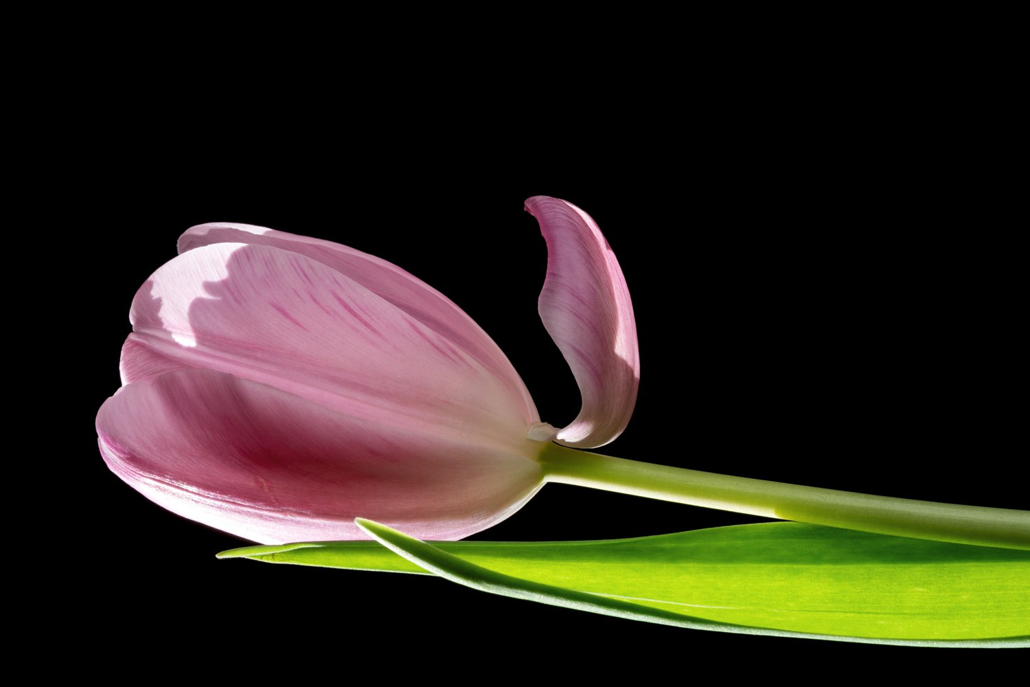 About me. Author’s fine art prints with international delivery