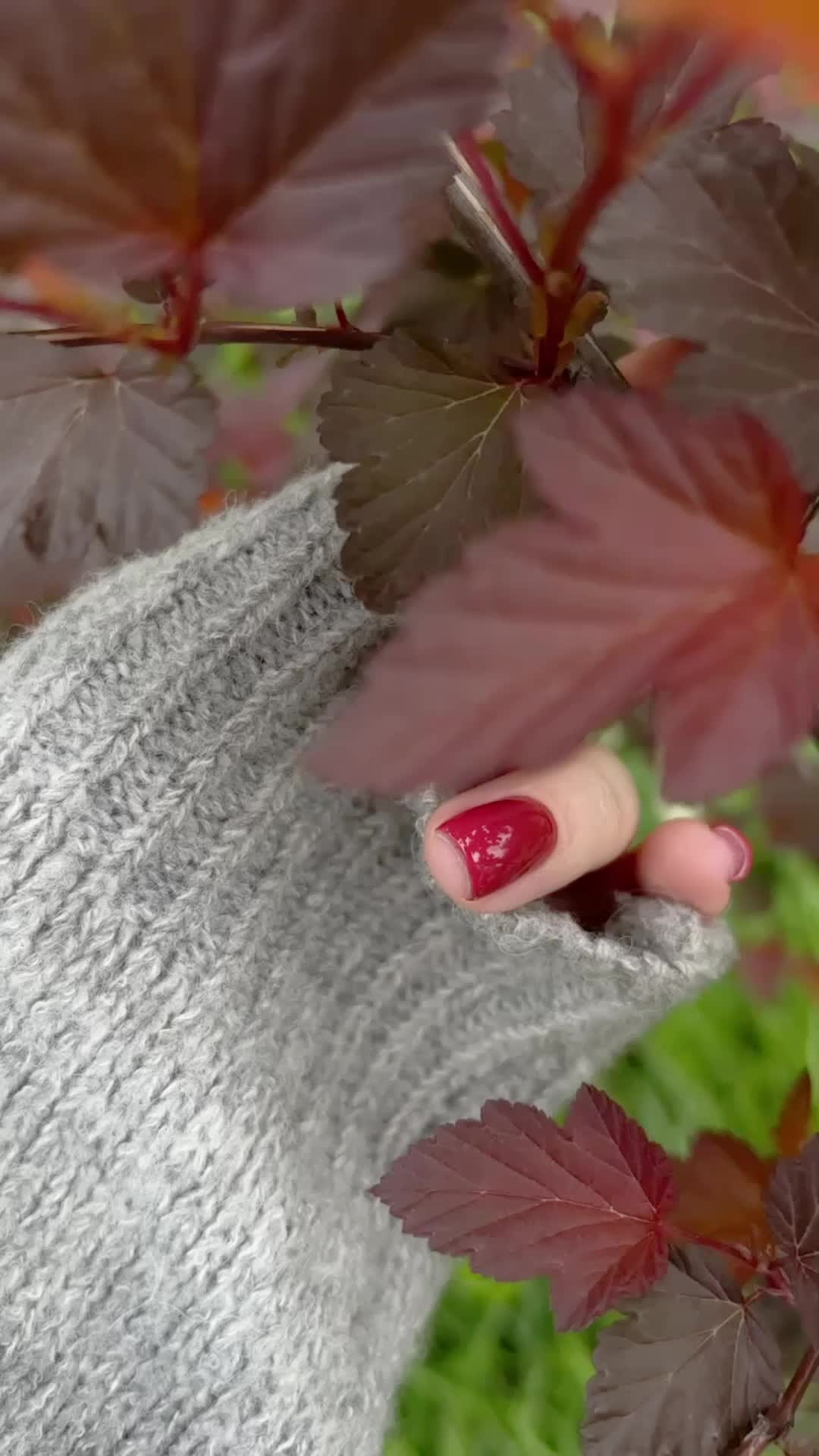 Все пресеты VN | Эффект плёнки. Кинематографичный фотограф, видеограф Лина Плешакова, Санкт-Петербург