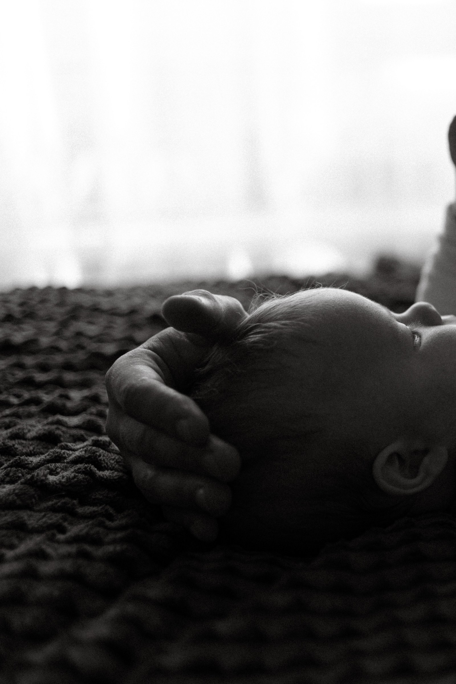 Тепло. Фотограф Daria Wilner