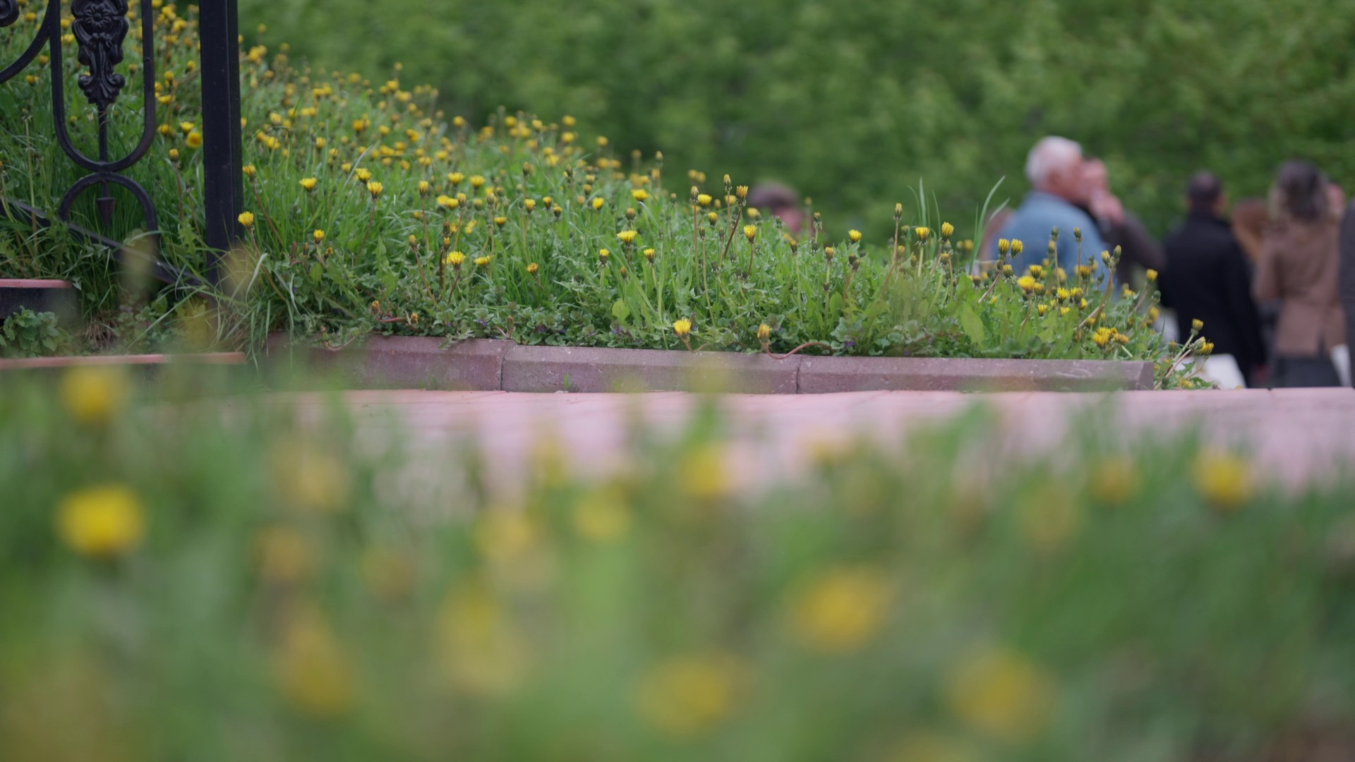 2025.05.10 Юра и Наталья. Владимир Вершинин, тот самый свадебный видеограф