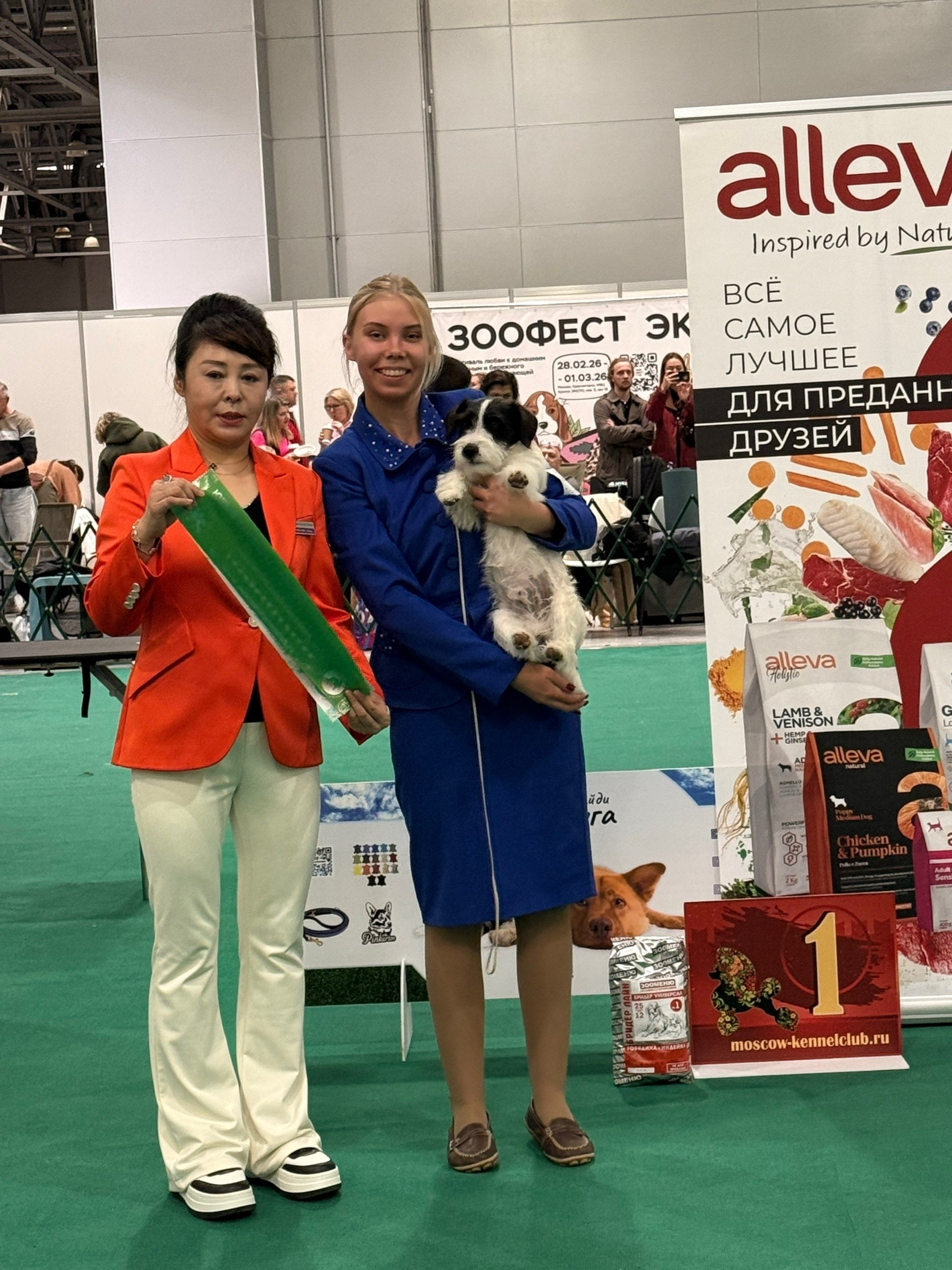 Джек рассел отзывы владельцев и покупателей щенков. CANE MAESTRO — kennel Jack Russell Terrier