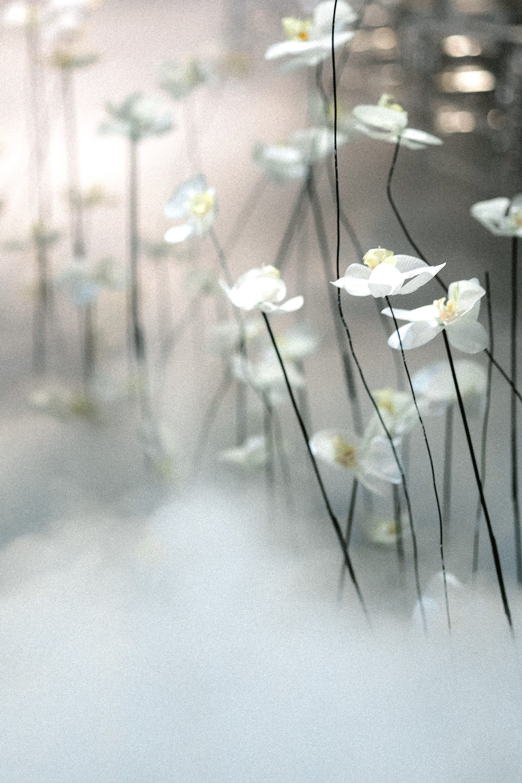 Анастасия & Никита. Yura Rush Свадебный фотограф Тюмень