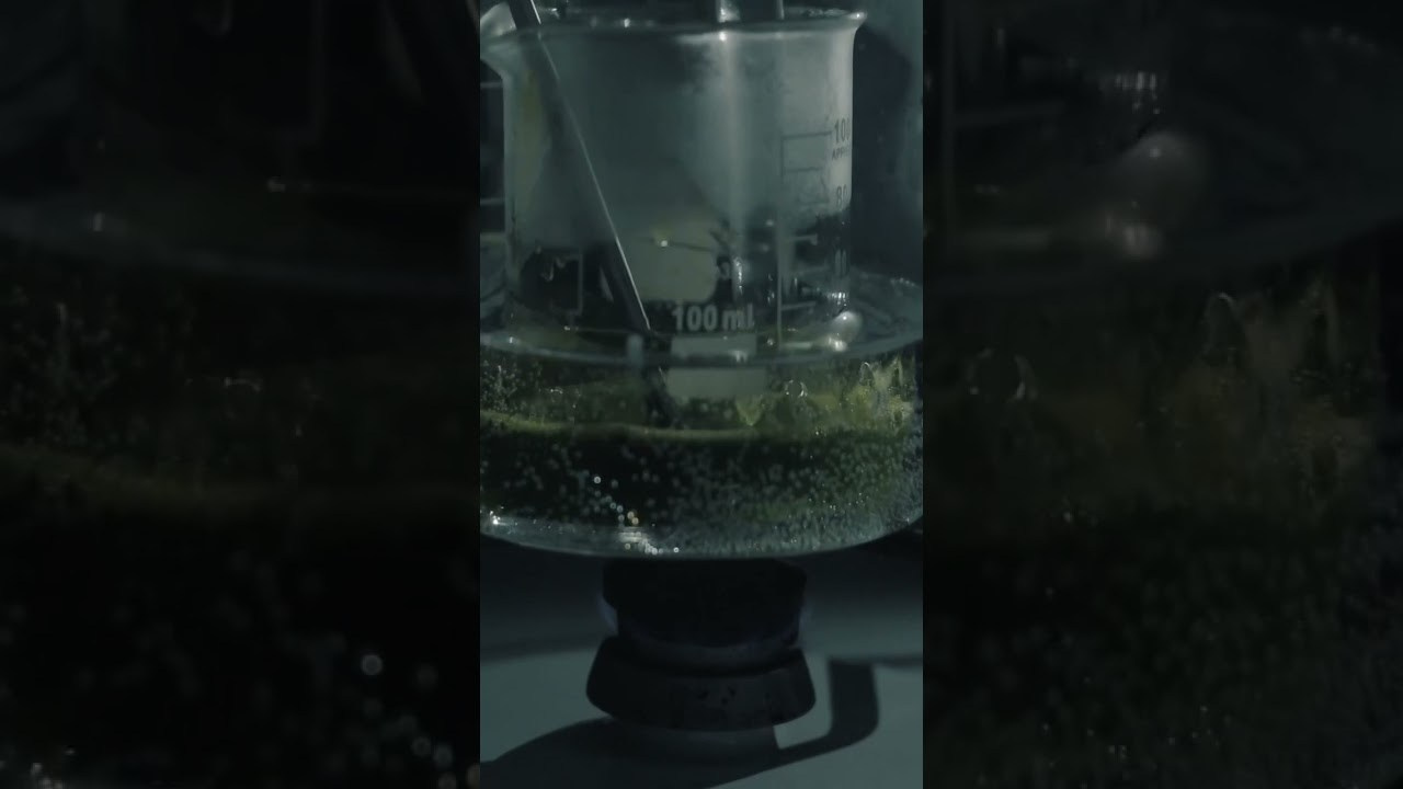 Alternative processe. Maria Norden