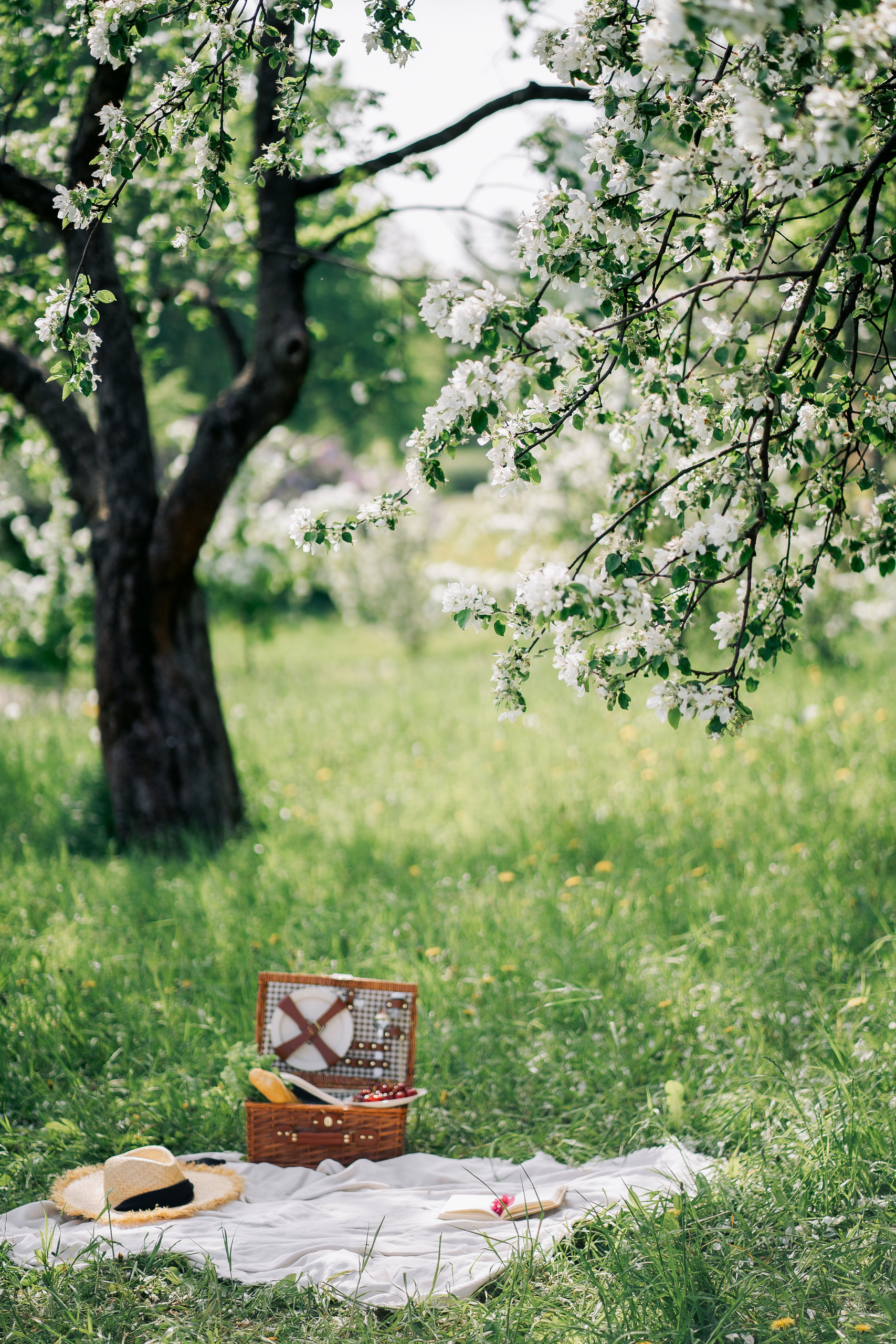 Отзывы. Мария Старостина фотограф