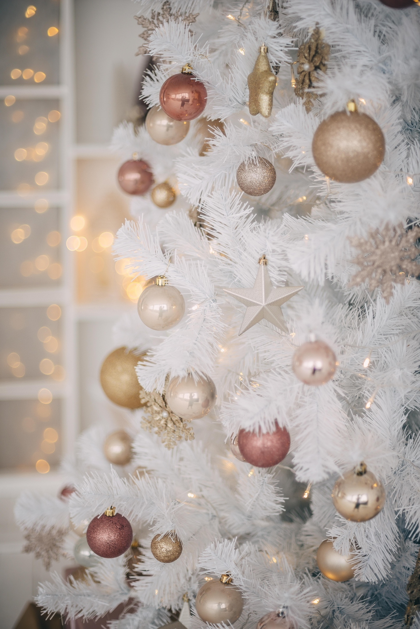 РО-РО НГ2020. Фотограф Ижевск Филипп Усков