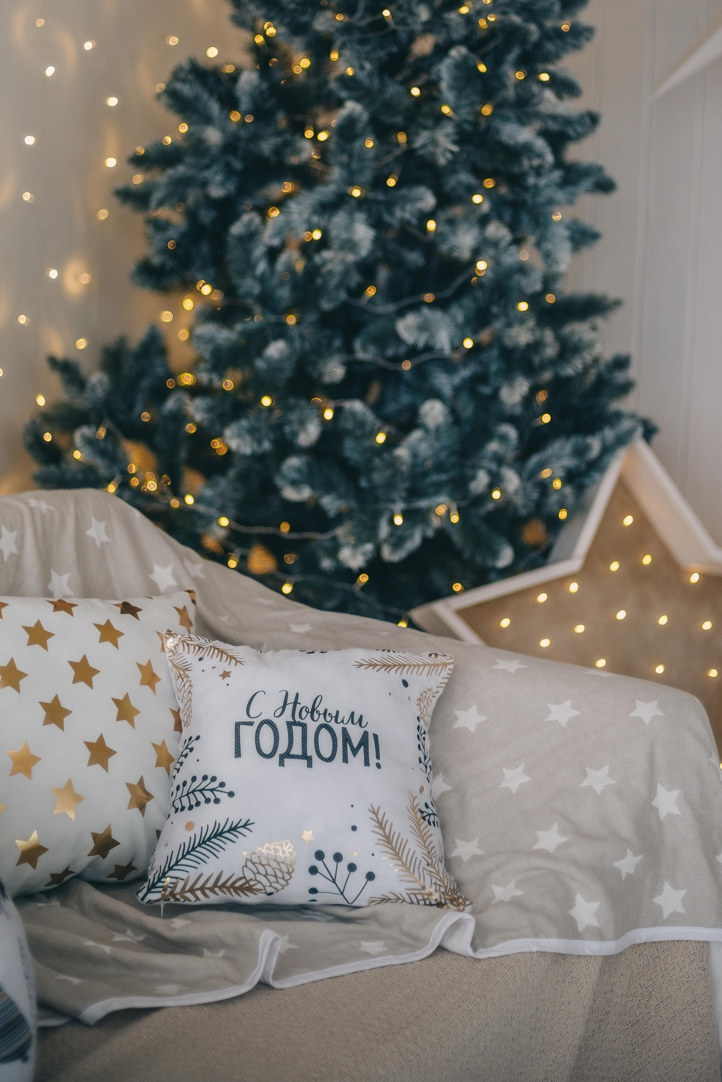 РО-РО НГ2020. Фотограф Ижевск Филипп Усков