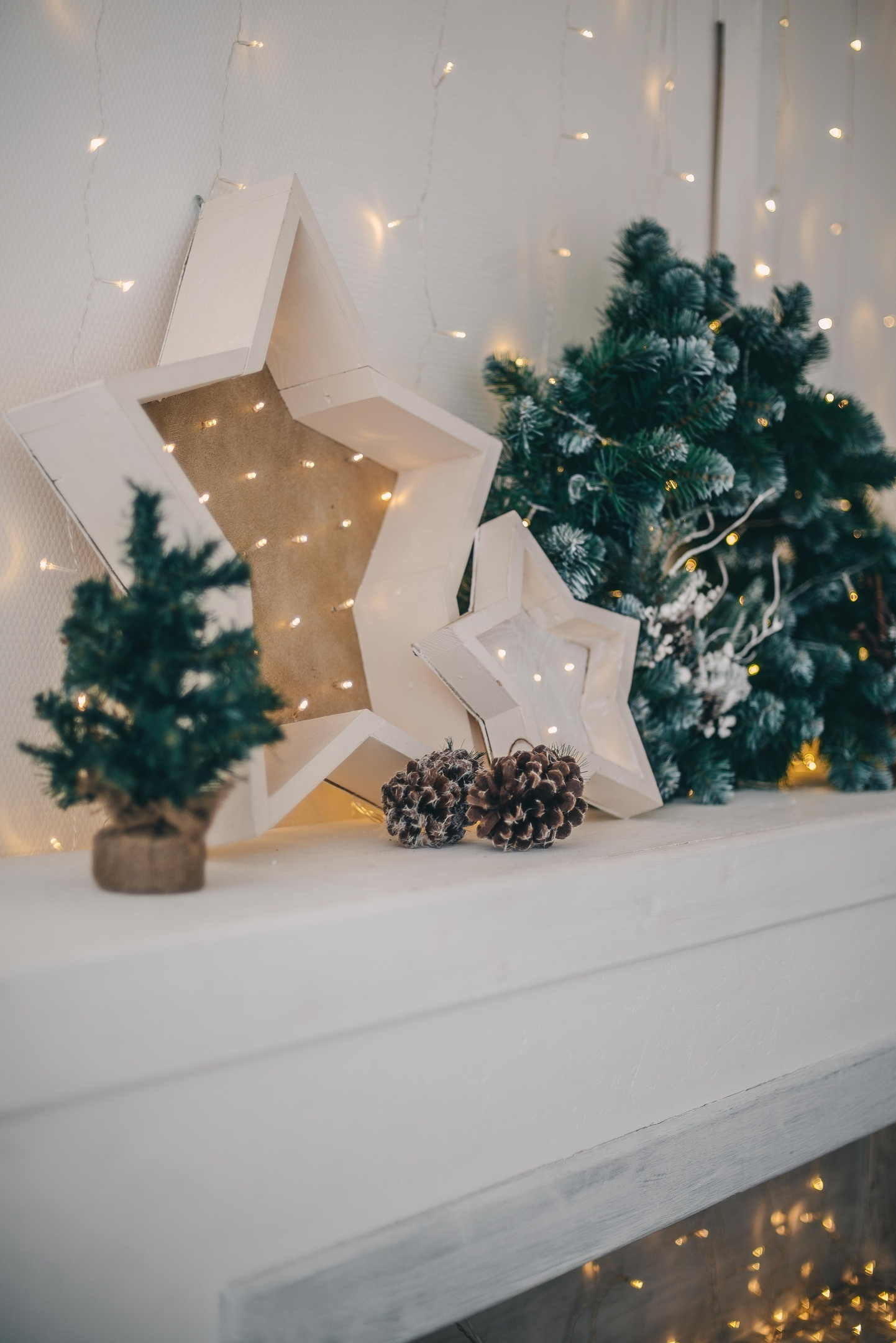 РО-РО НГ2020. Фотограф Ижевск Филипп Усков