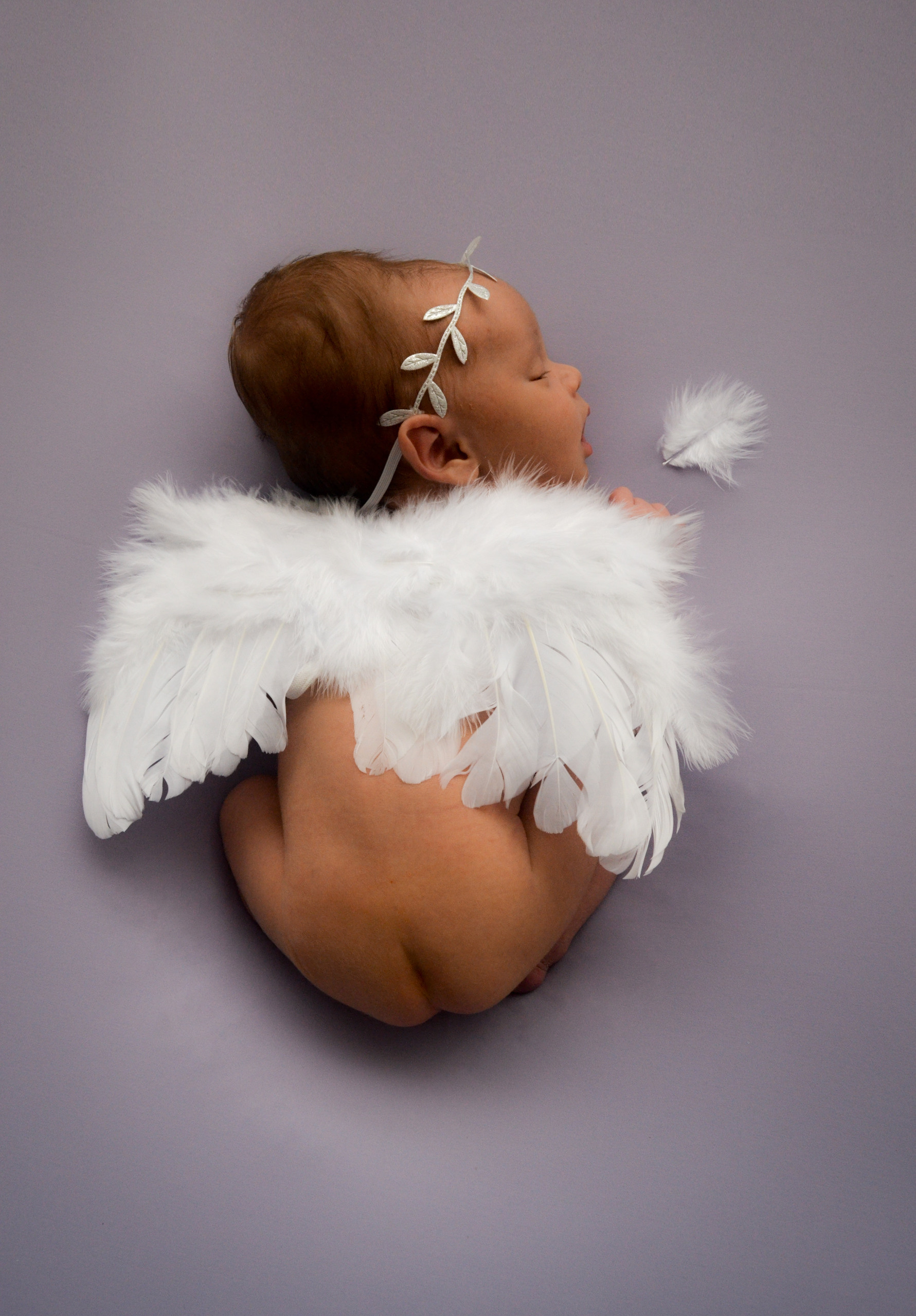 Отзывы. Photograper Israel/фотограф Израиль. ALINA TARAN