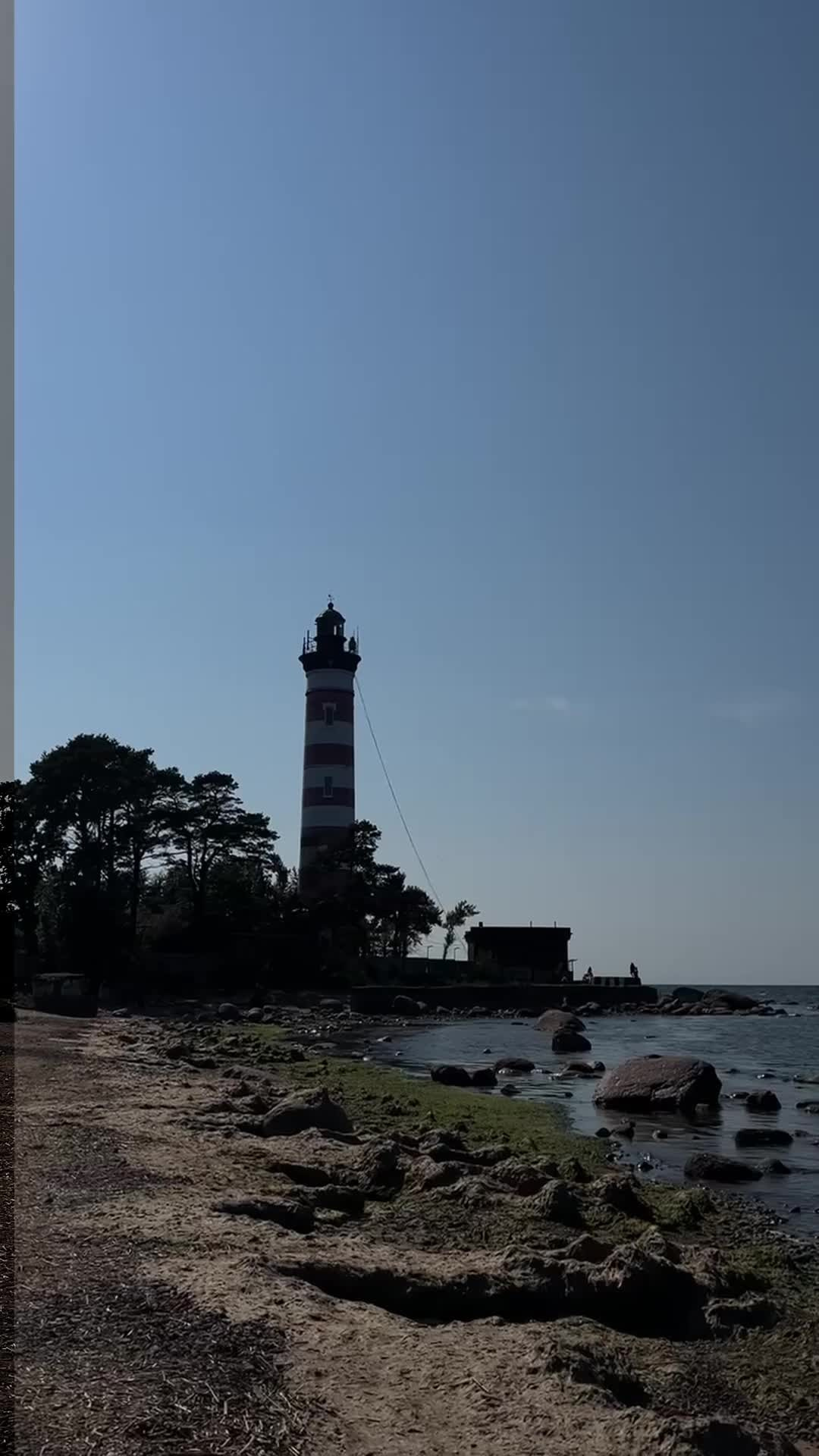 Все пресеты VN | Тёмные. Кинематографичный фотограф, видеограф Лина Плешакова, Санкт-Петербург