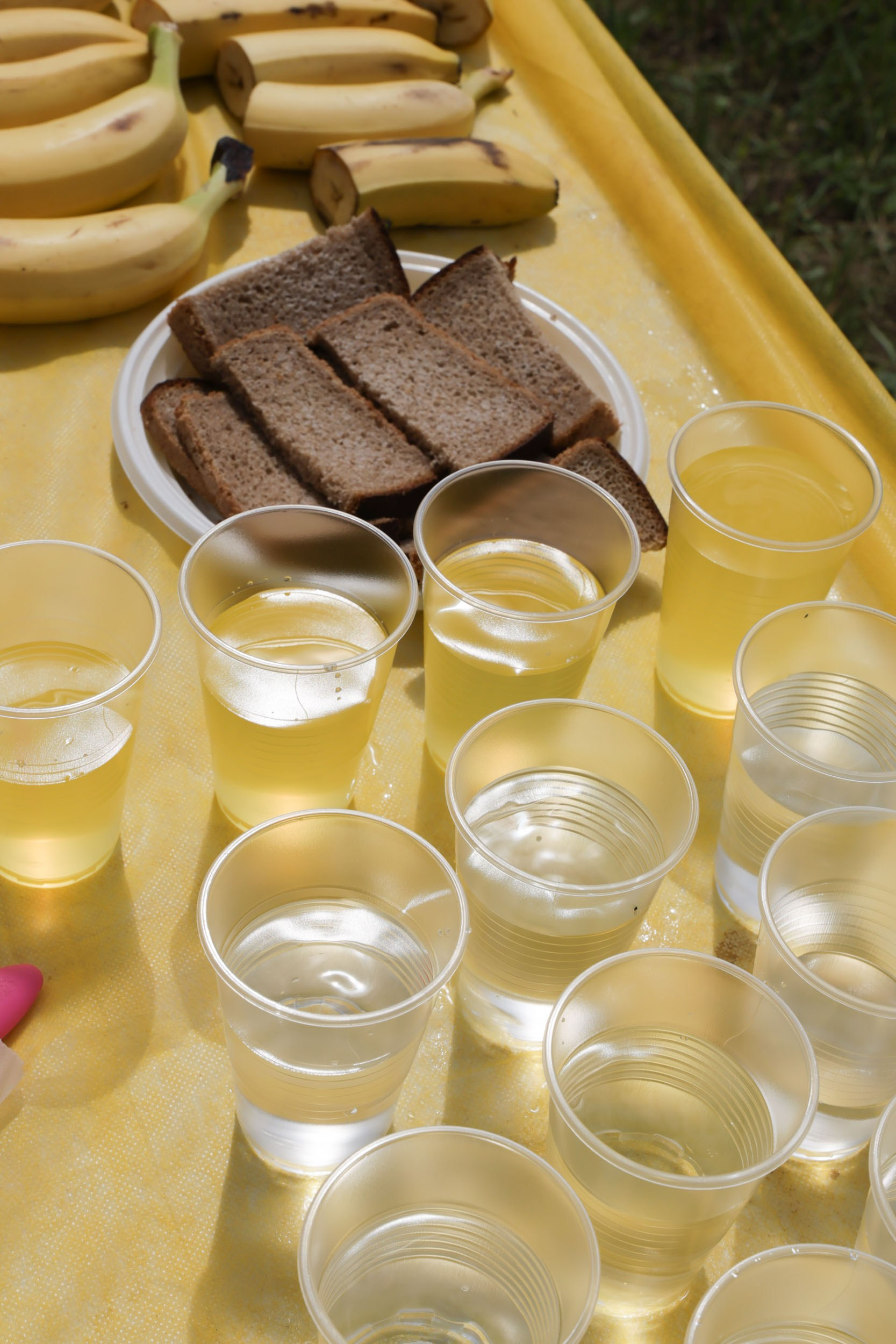 Фотограф на соревнования