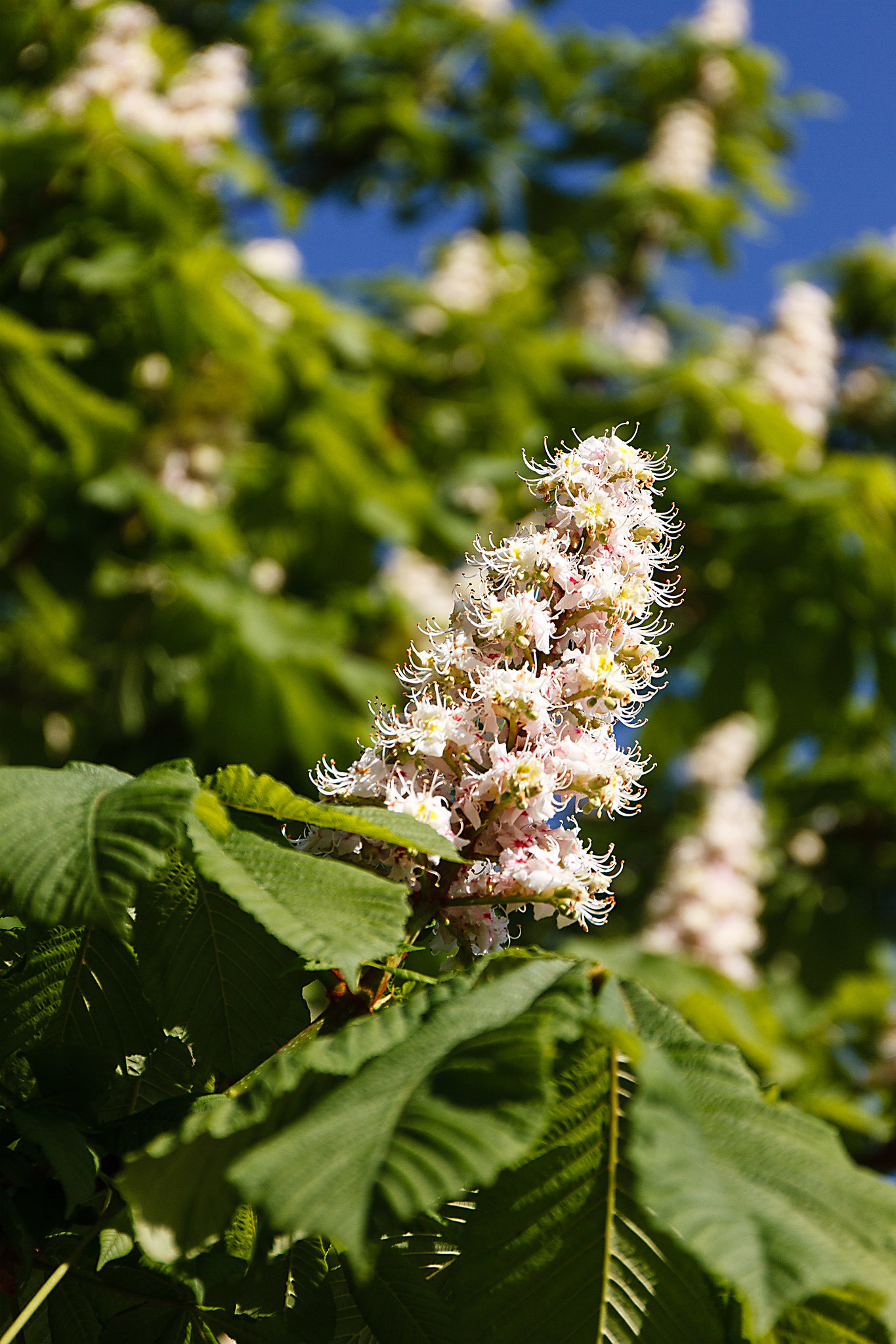 Фотоархив • Портретная съемка