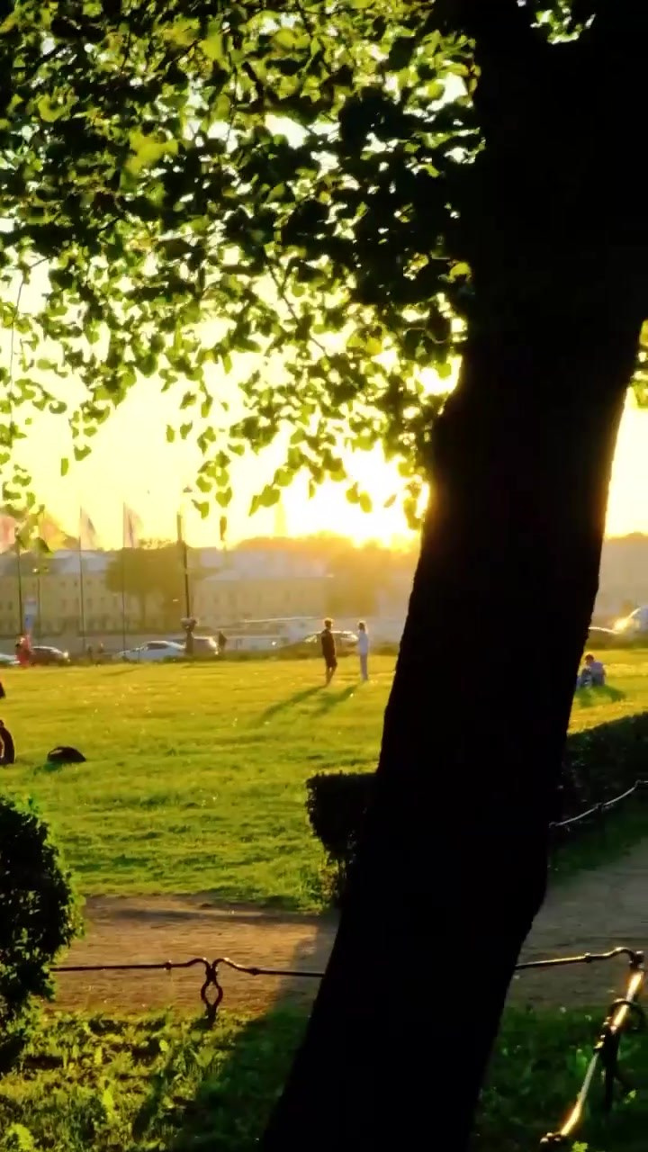 Видеосъемка. Владимир Репин Фотограф Санкт-Петербург