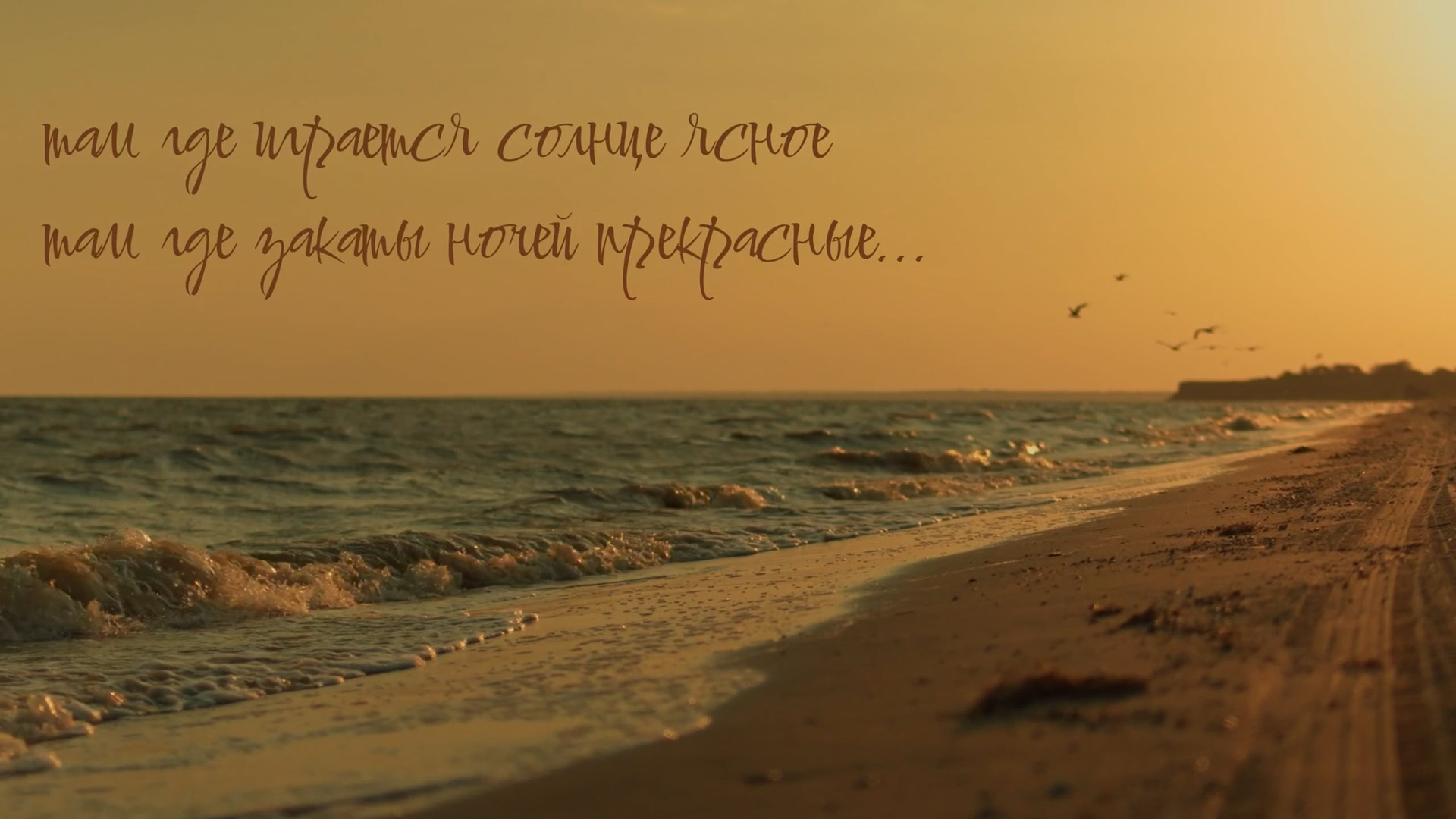 Свадебное видео, видеооператор на свадьбу в Ростове-на-Дону. Свадебный Фотограф и видеограф Ростов-на-Дону и Таганрог Lavrinwed