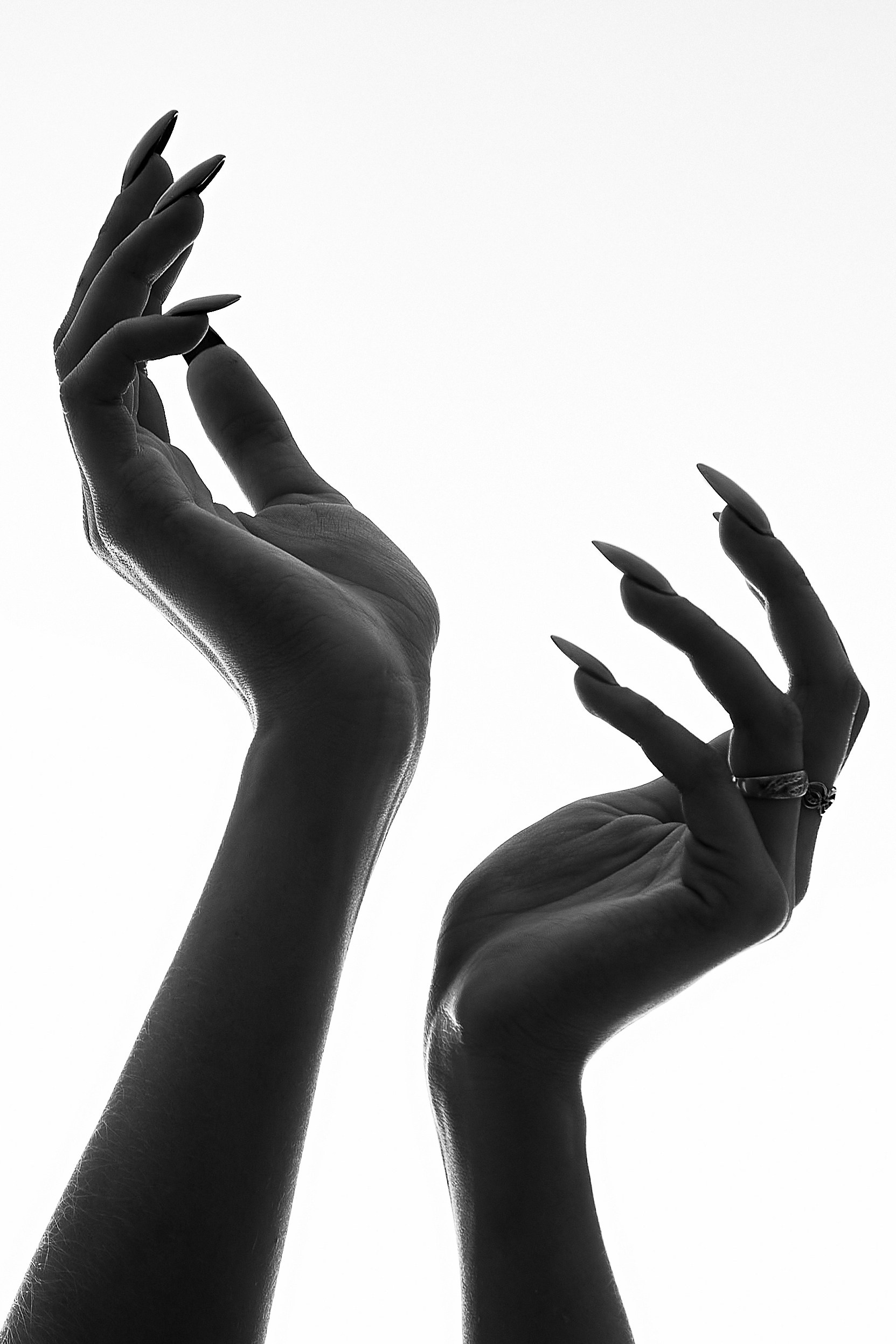 Оффлайн курс в студии RoRo по творческой съёмке. Фотограф Яковлев Роман — Красноярск