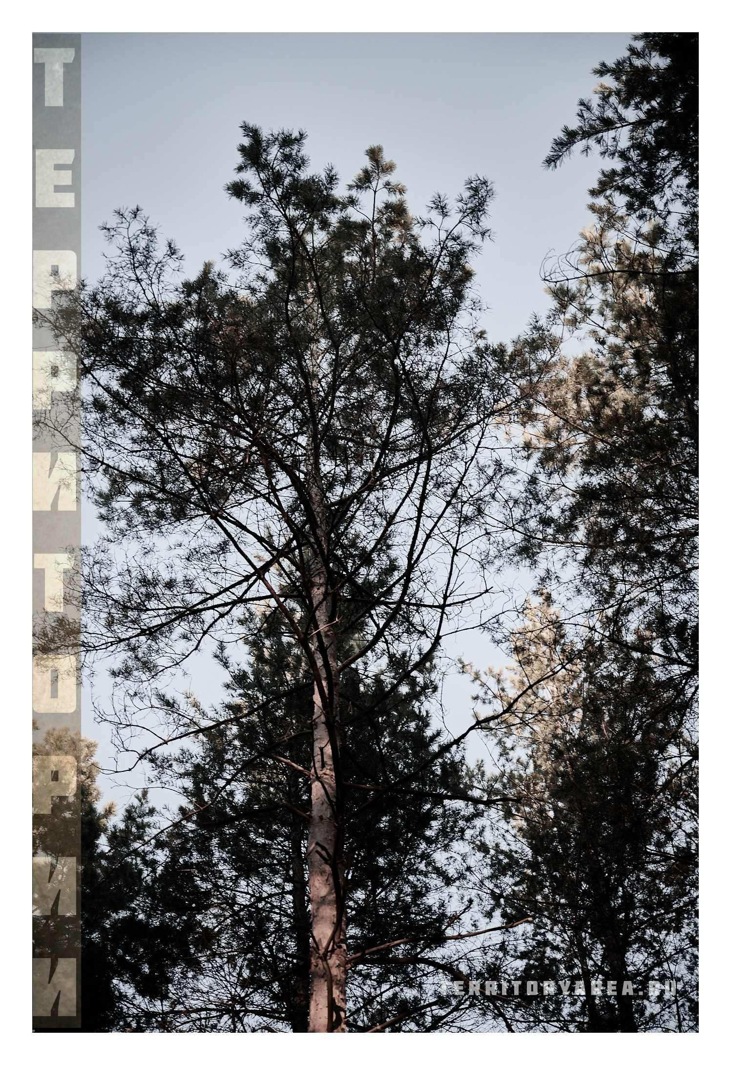 Фотопринты А3. Фотопроект «Территории»