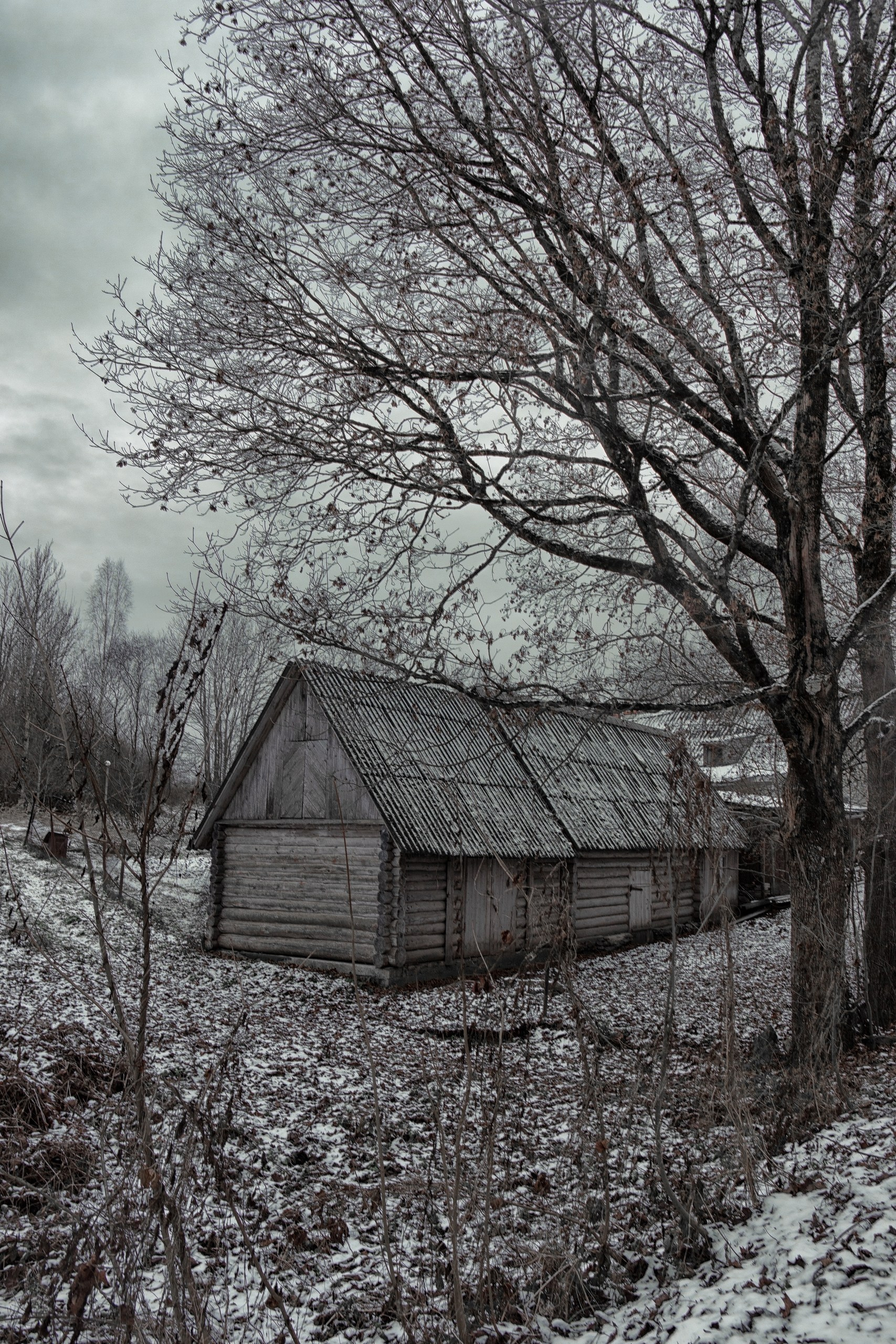 Зимний фототур в Изборск. Фотограф Наталья Туева FineArt съёмка