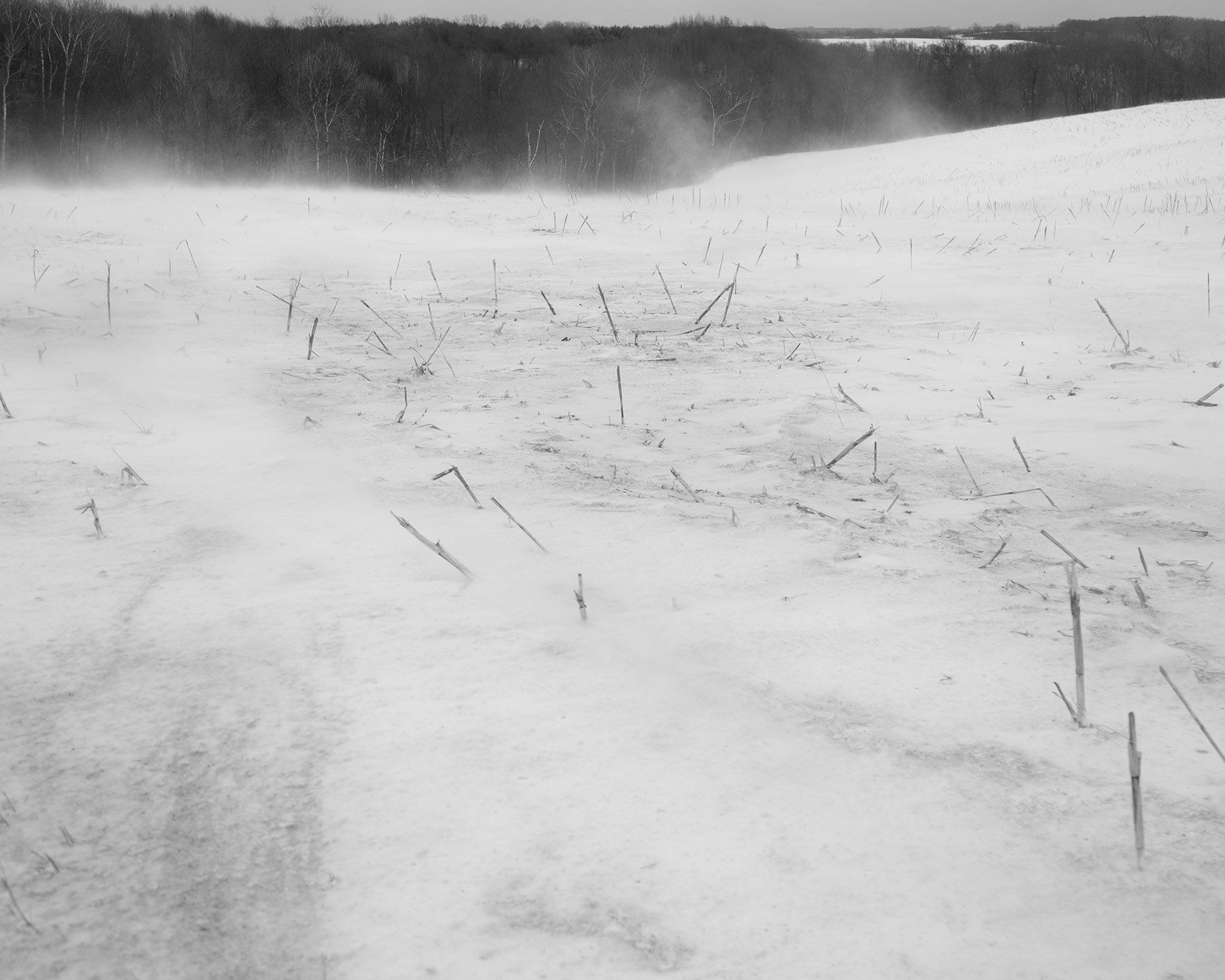 Фотокнига «Dormant Season» Эринн Спрингер (Erinn Springer). Private image