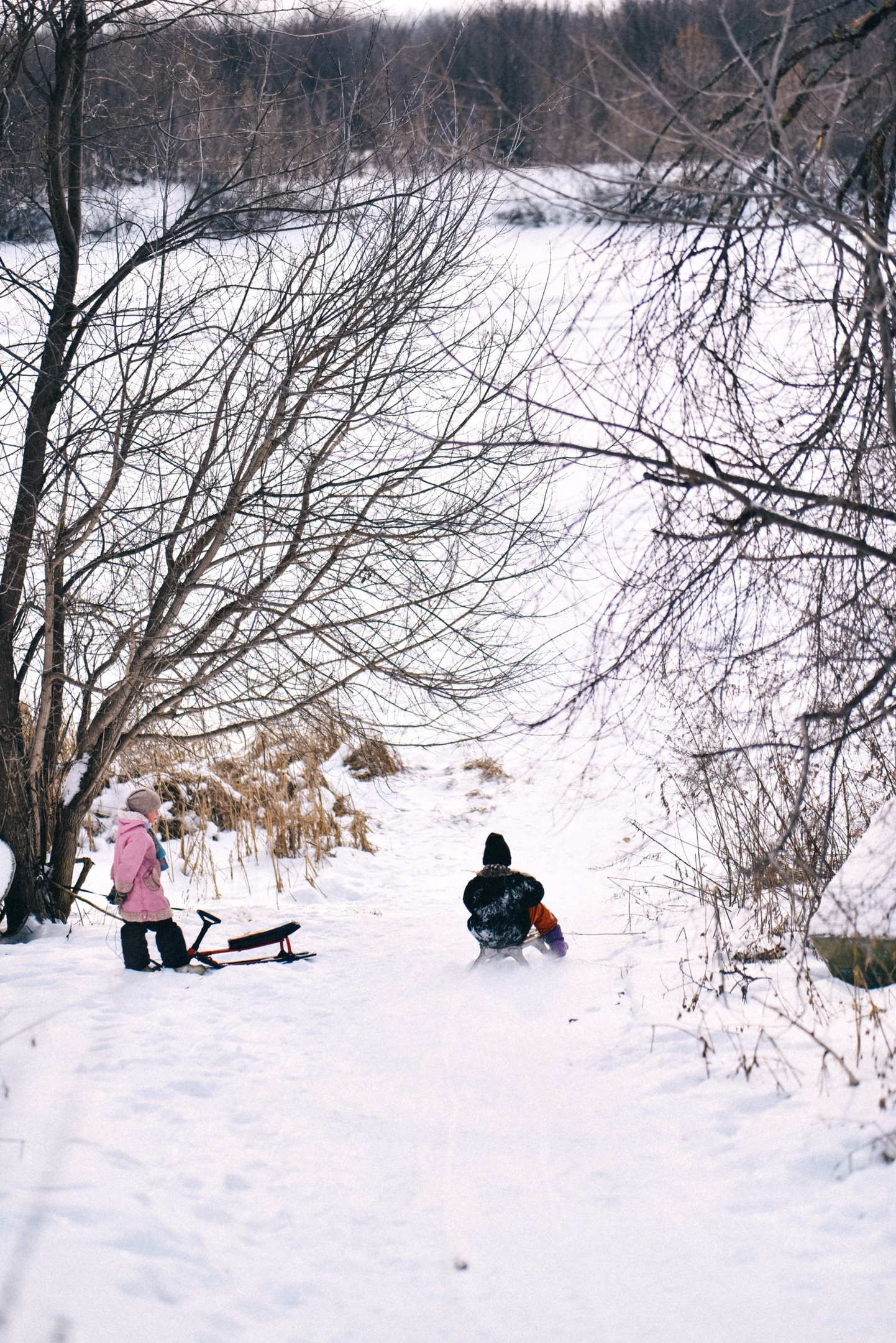 Семейный фотограф в Самаре Мария Компаниец