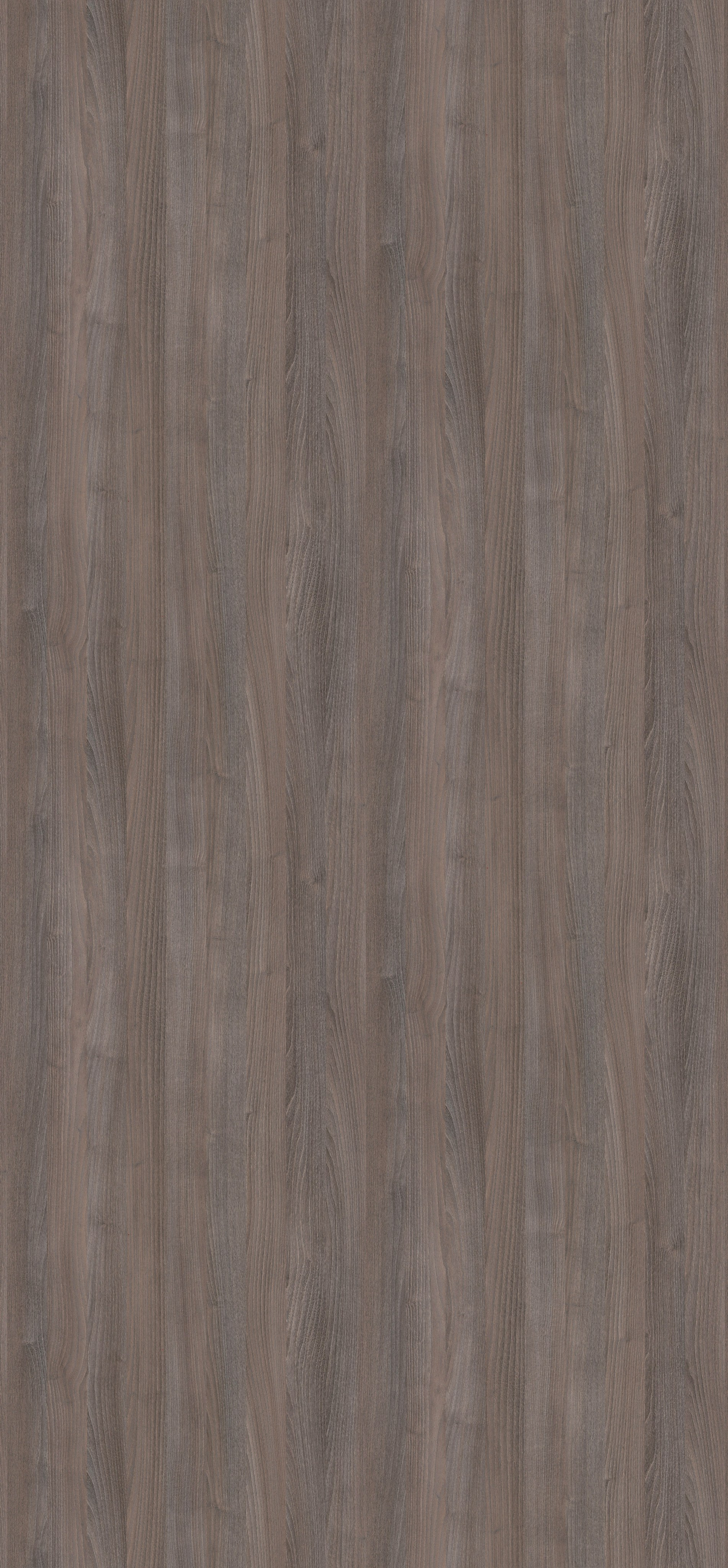 EGGER. Главная