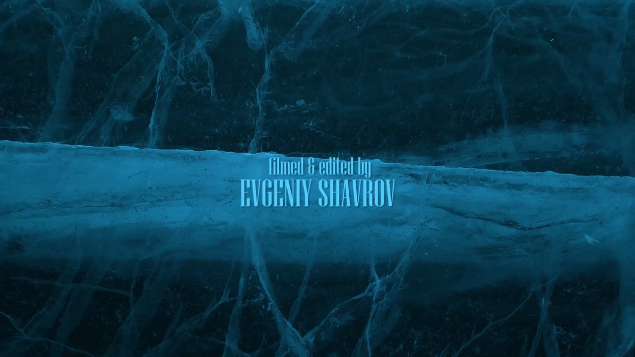 NON-COMMERCIAL. EVGENIY SHAVROV VIDEO