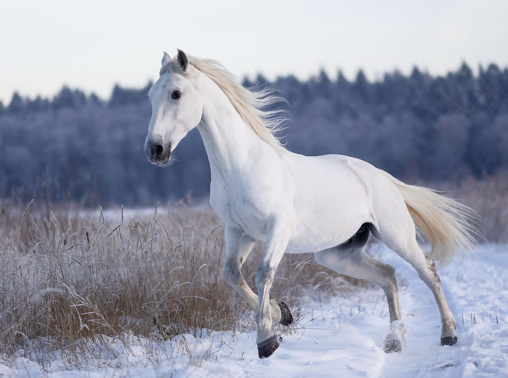 Детский и семейный фотограф в Москве Юлия Стукалова