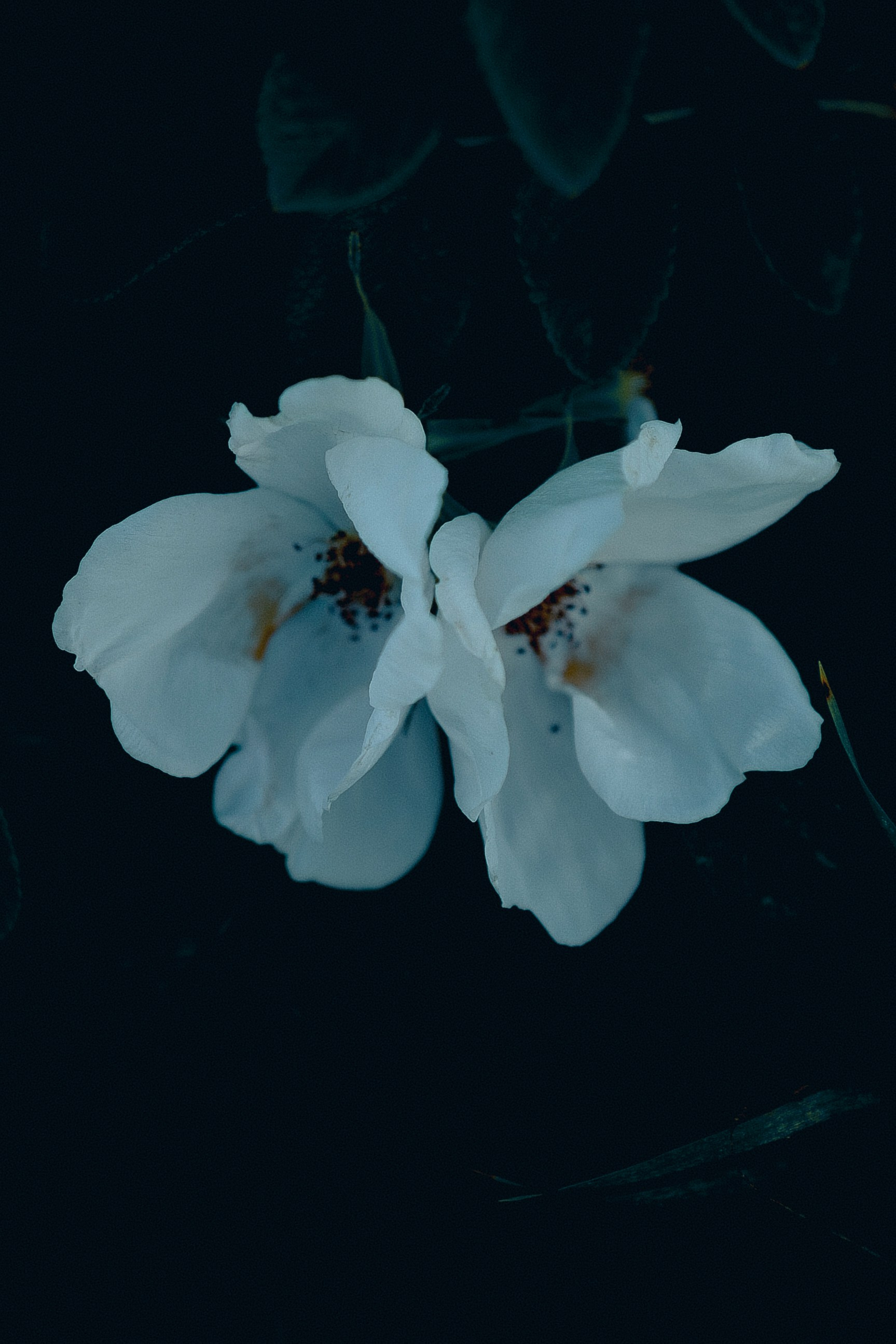 ARTDARY | Фотограф Дарья Грицай