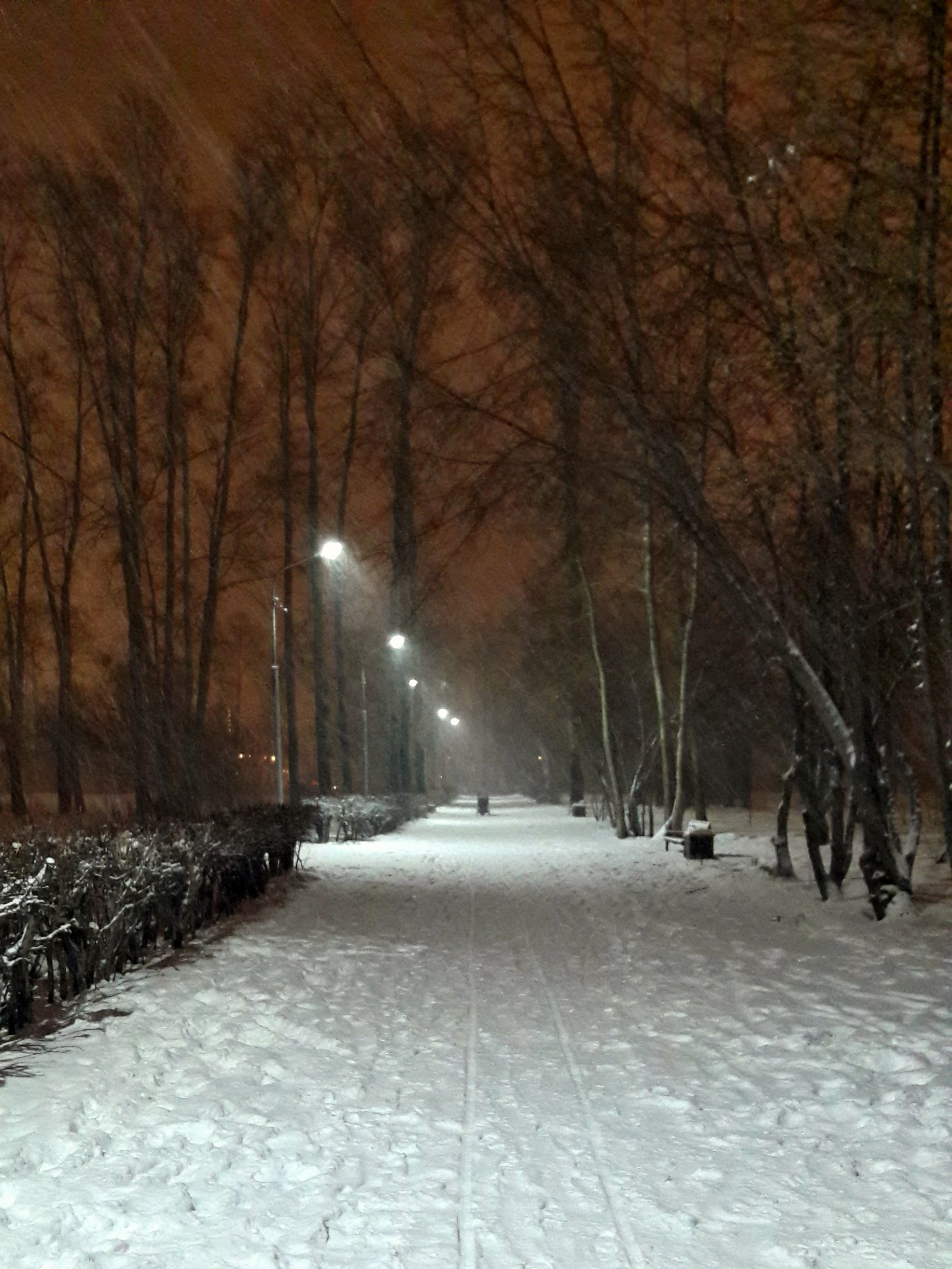 Новосибирск