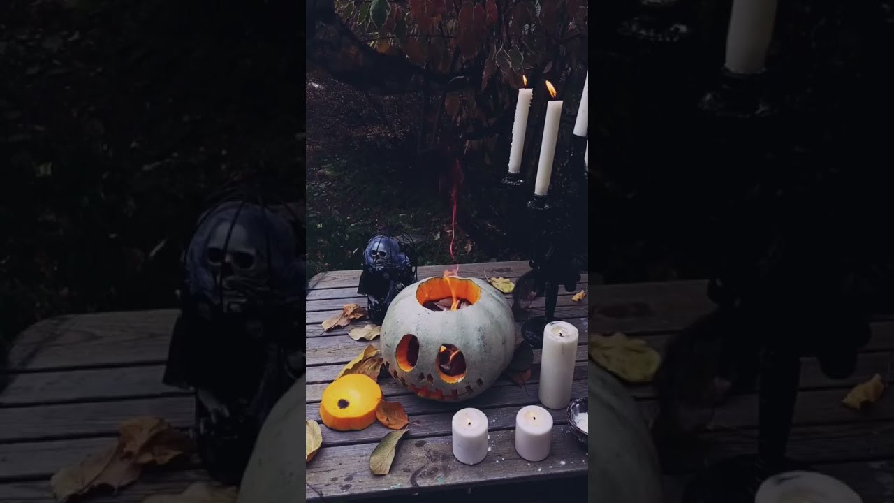 Интенсив «ТВОРИ ПУТЕШЕСТВИЯ». Фотограф Светлана Анисимова обучение фото видео рилс