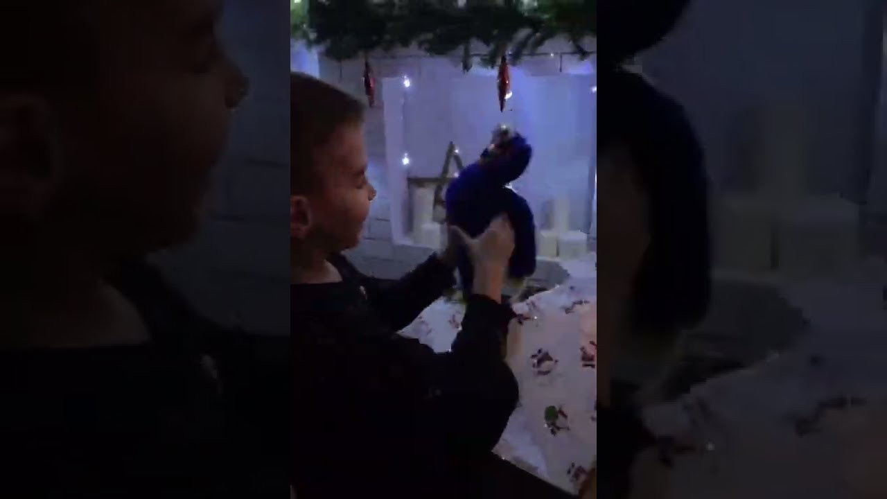 Интенсив «ТВОРИ ОСЕНЬ». Фотограф Светлана Анисимова обучение фото видео рилс