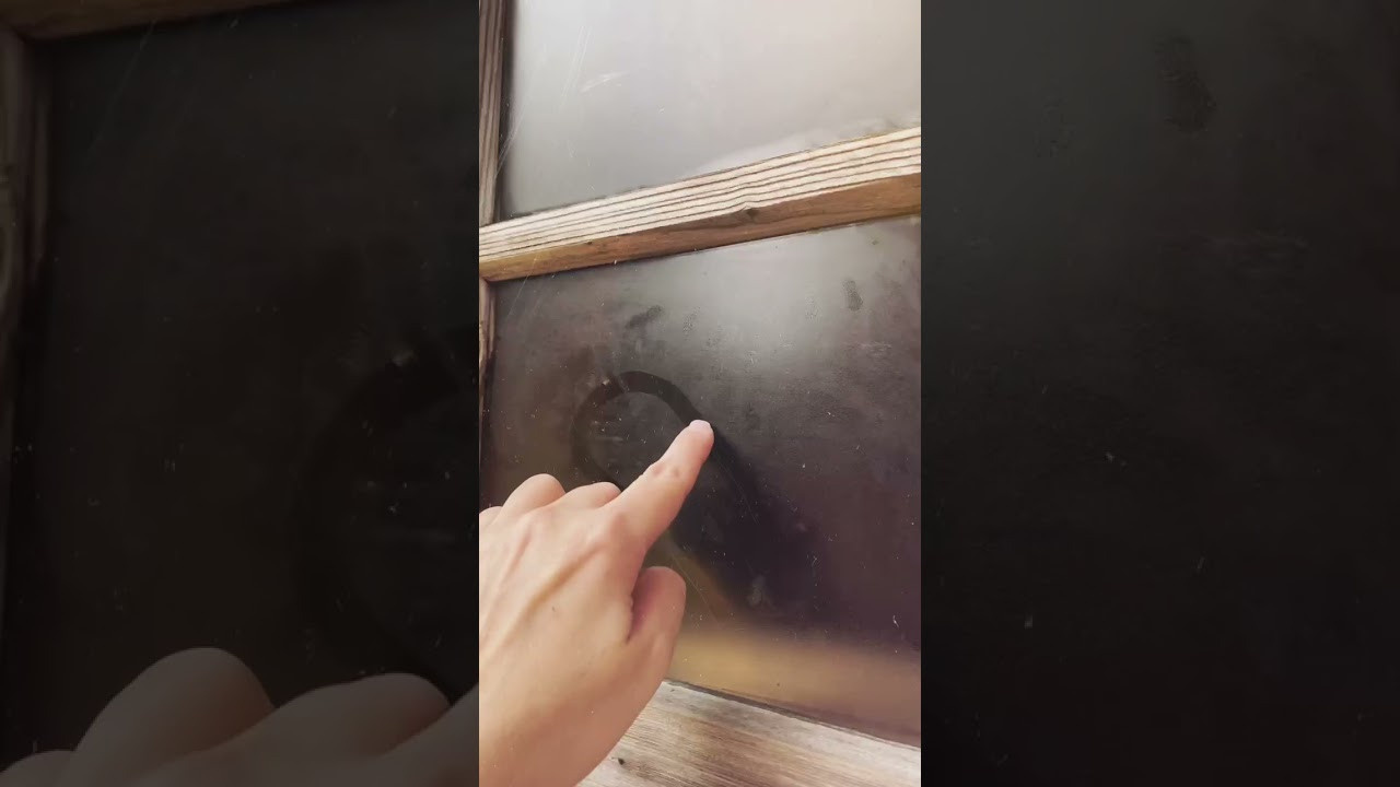 Интенсив «ТВОРИ ПУТЕШЕСТВИЯ». Фотограф Светлана Анисимова обучение фото видео рилс