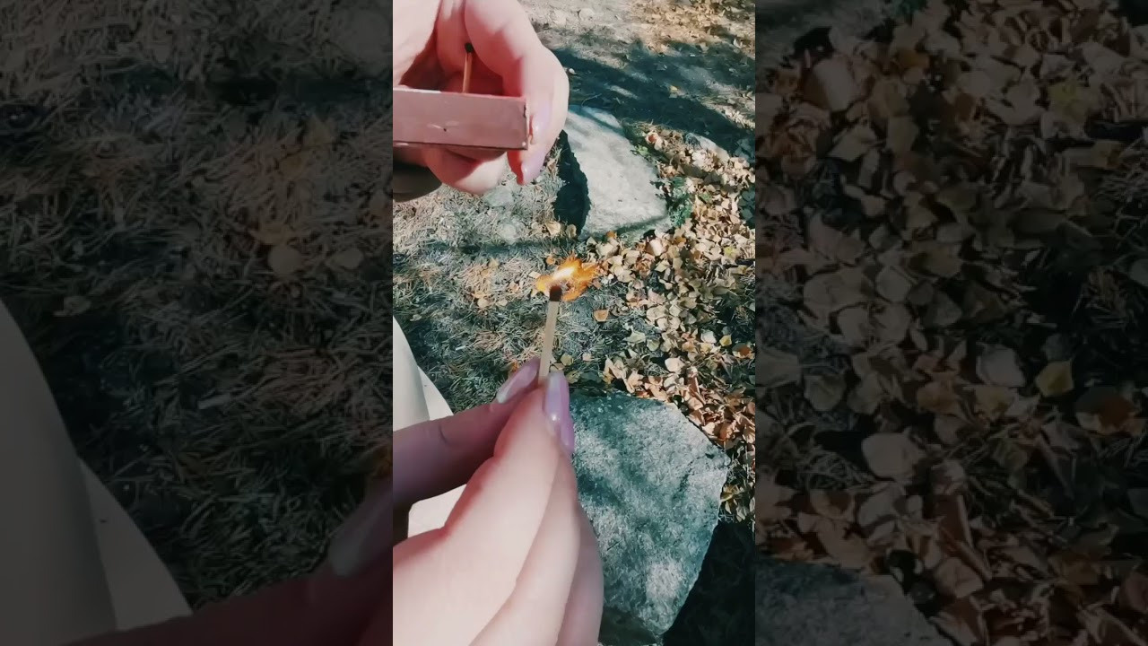 Интенсив «ТВОРИ МУЗЫКУ». Фотограф Светлана Анисимова обучение фото видео рилс