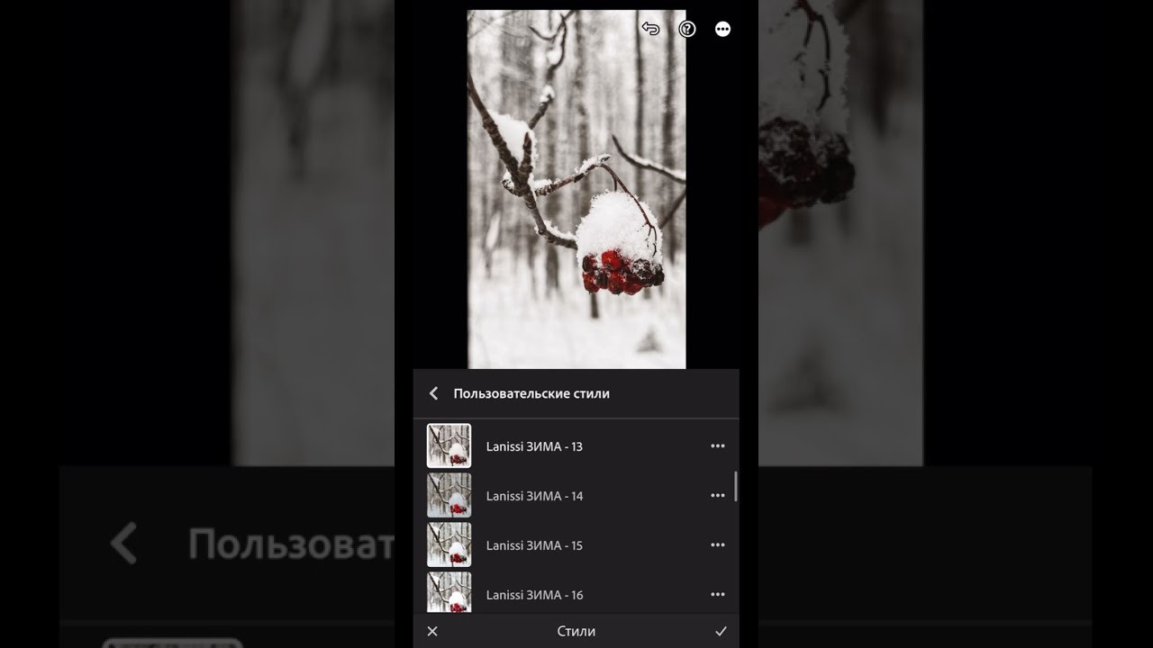 Набор пресетов «ЗИМА». Фотограф Светлана Анисимова обучение фото видео рилс