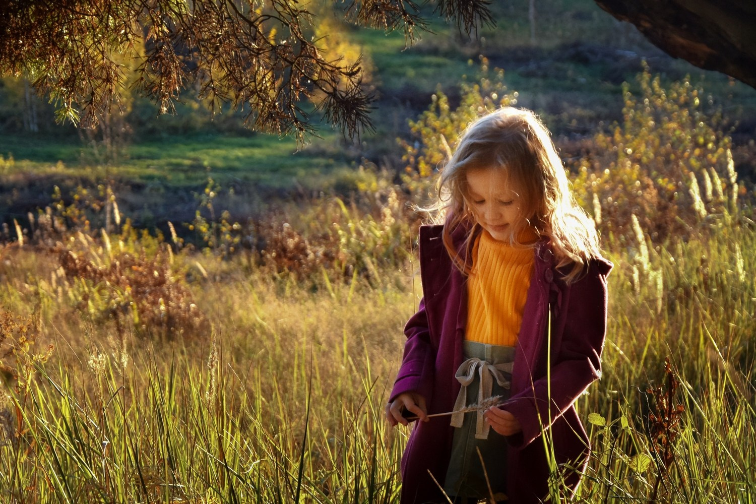 Семейный и детский фотограф