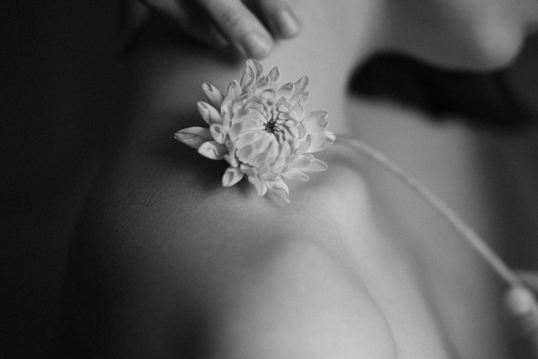 Портретный фотограф