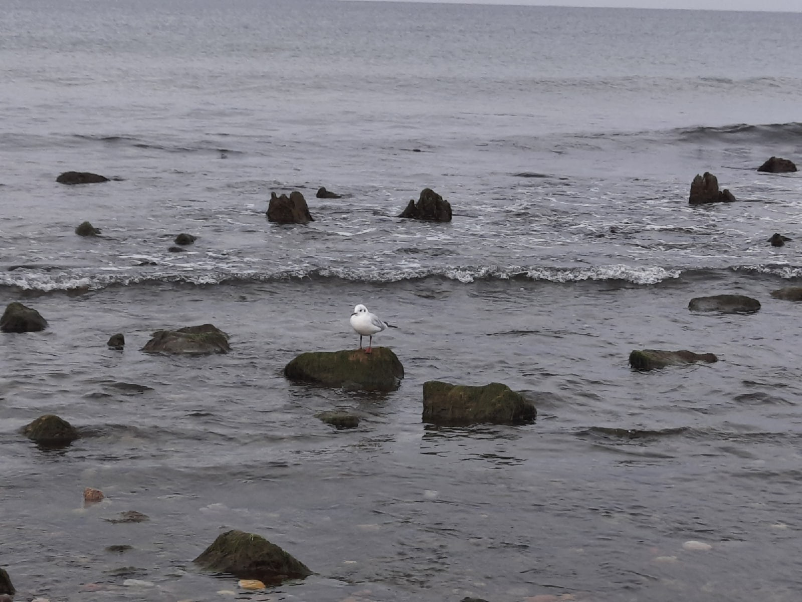 Калининград | 08-10.10.2021. Галерея Фантим