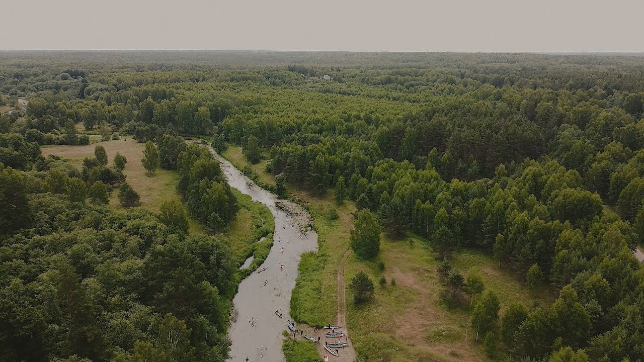 Events. Videographer Mitya Holyaev. Serbia. Europe. World