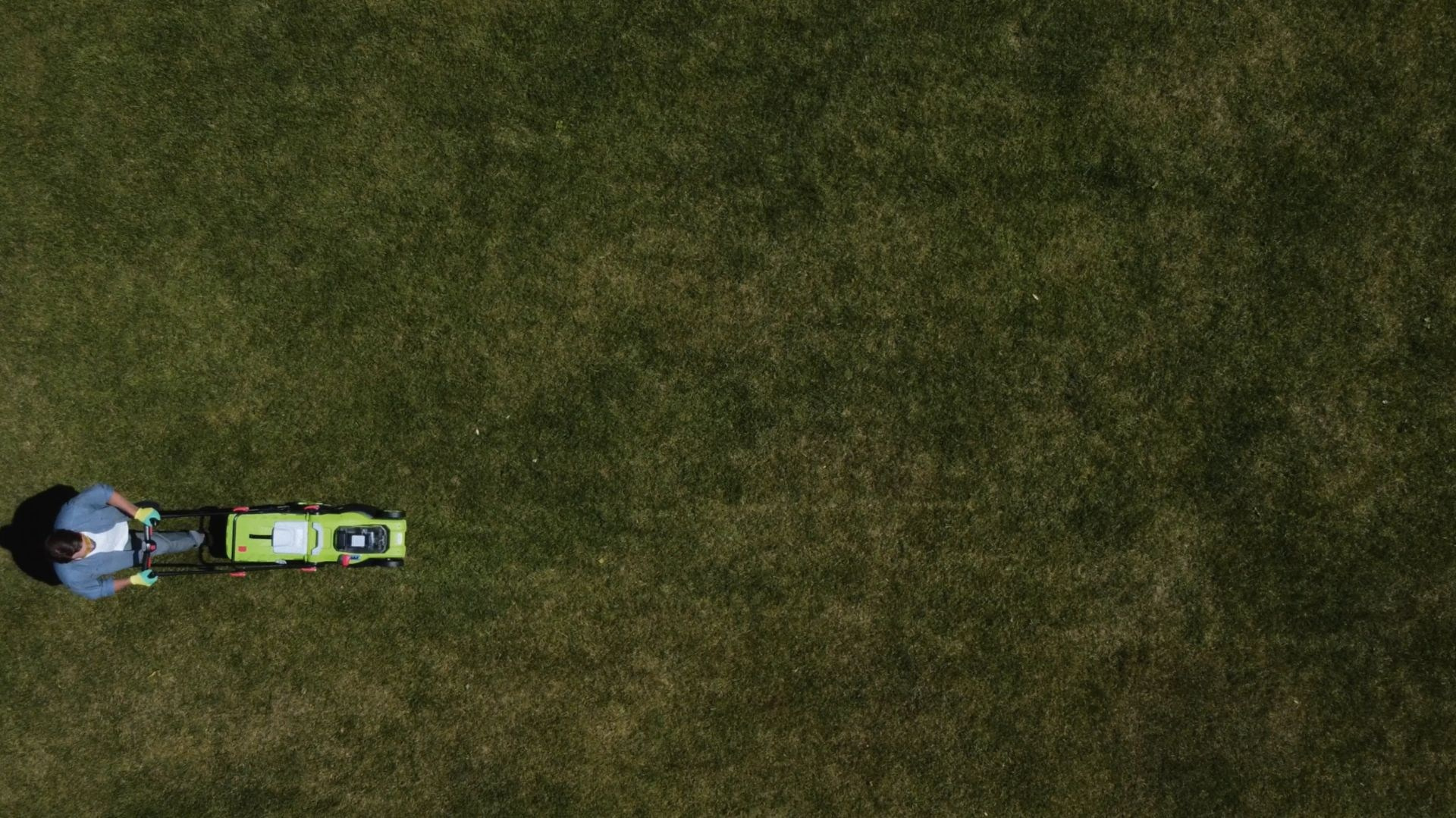 КЕЙСЫ. Режиссёр Алексей Логинов