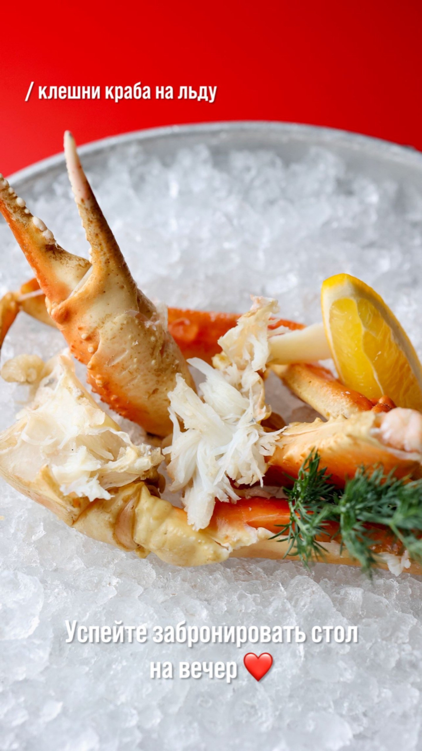 PHOTOGRAPHER. Фотограф Ростов-на-Дону Богатырева Анна